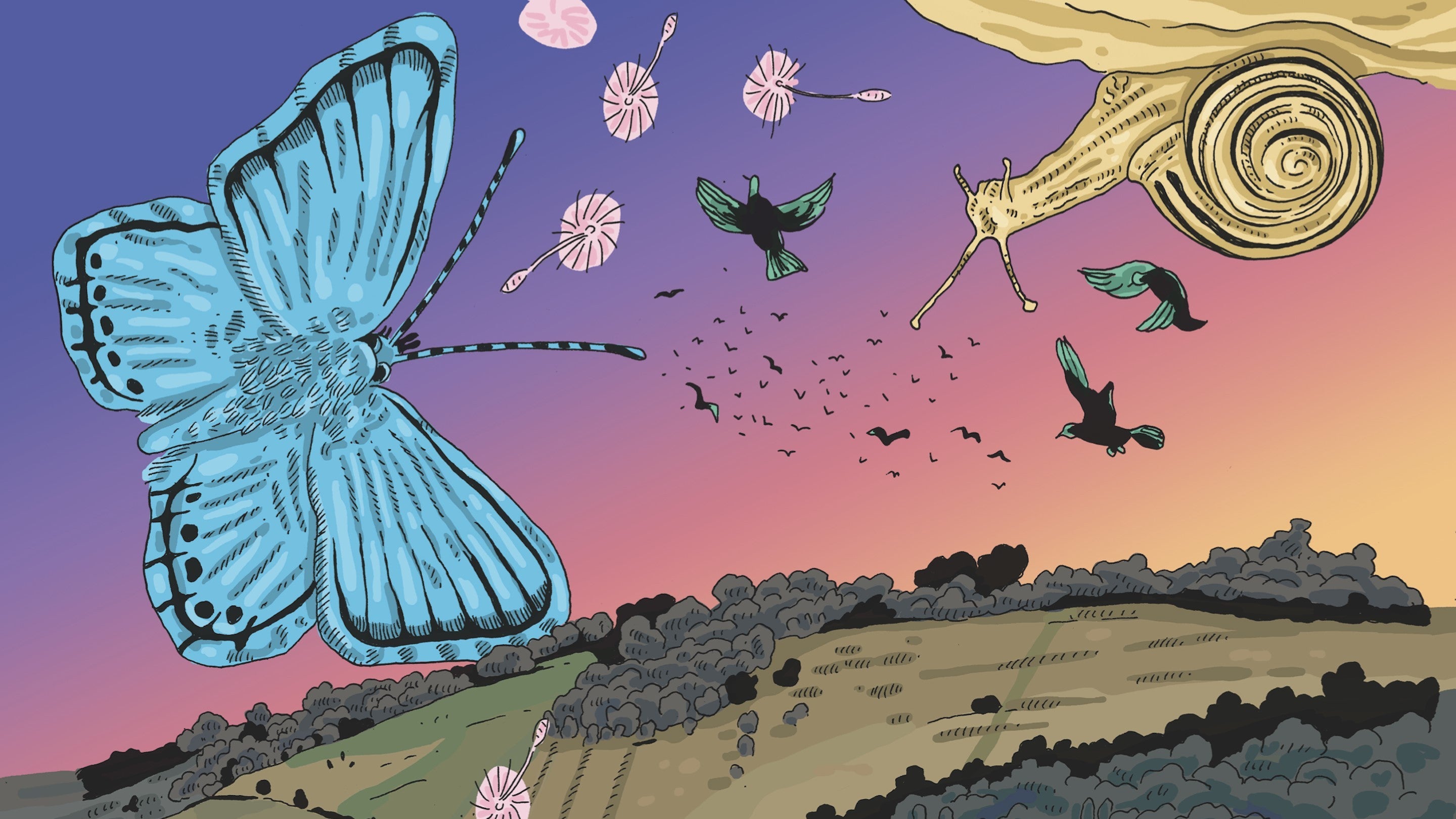 A colourful cartoon depiction of a hill with trees on, purple and pink sky with an oversized blue butterfly in the foreground and a large yellow snail appearing to hang from the top of the image.