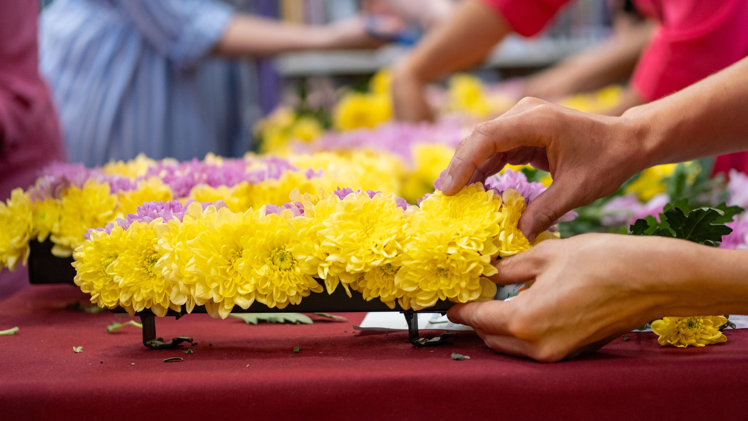 A brightly coloured floral wreath held in two hands