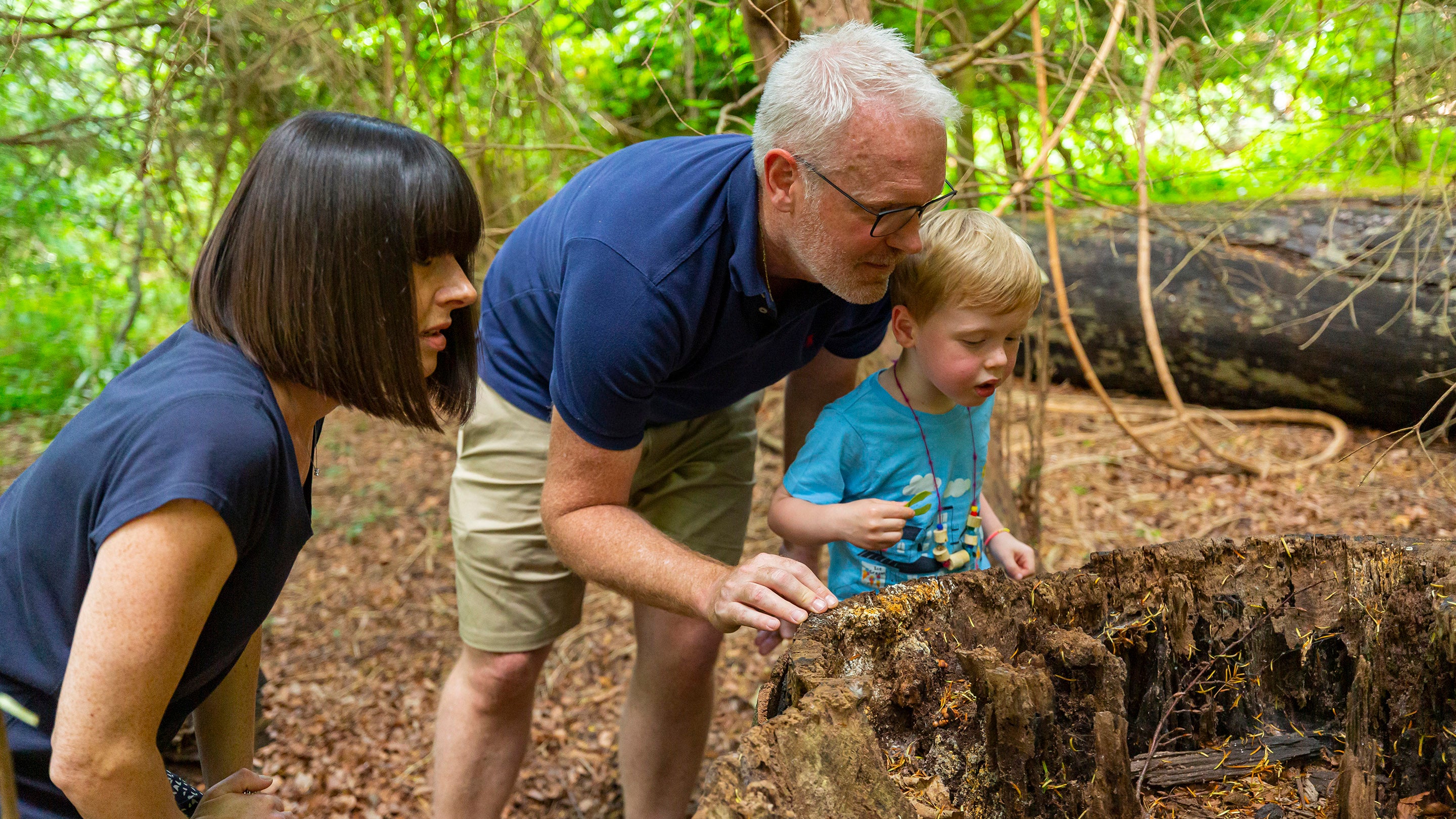 Members of a family inspect a tree trunk for insects at Clandon Park, Surrey