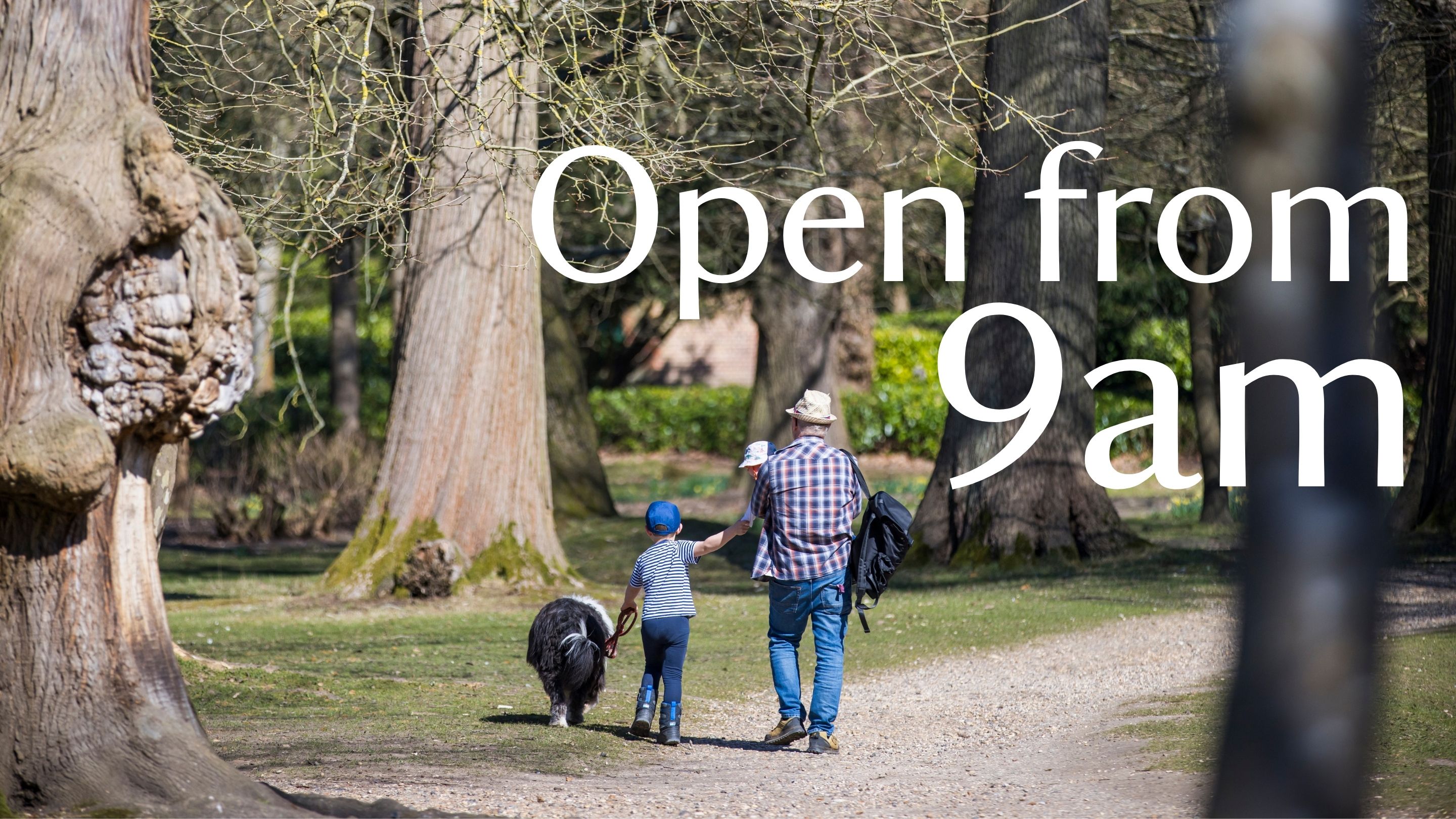 A man with babe in arms and a dog with a little boy between both. He is holding a dog's lead in one hand and the child's hand in the other. Their backs are facing the camera walking along the pathway at Claremont Landscape Garden. There is graphic text over the top that reads 'Open from 9am'.