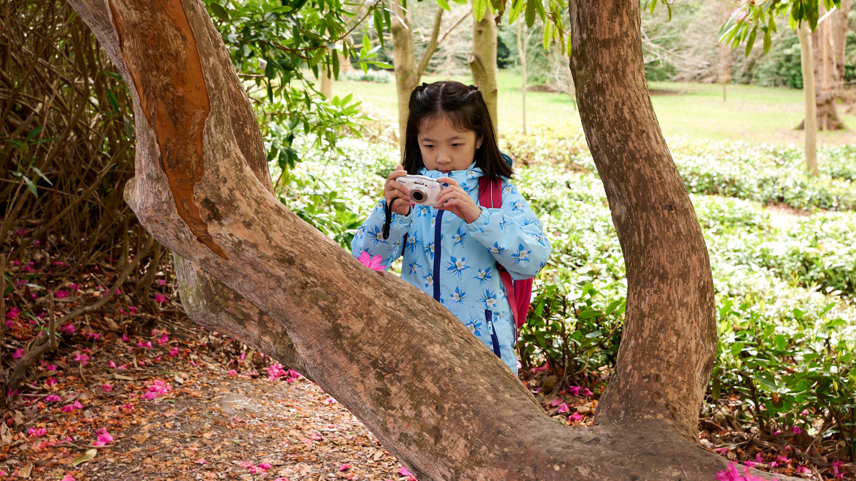 A child taking a photo of a tree at Claremont Landscape Garden in Surrey