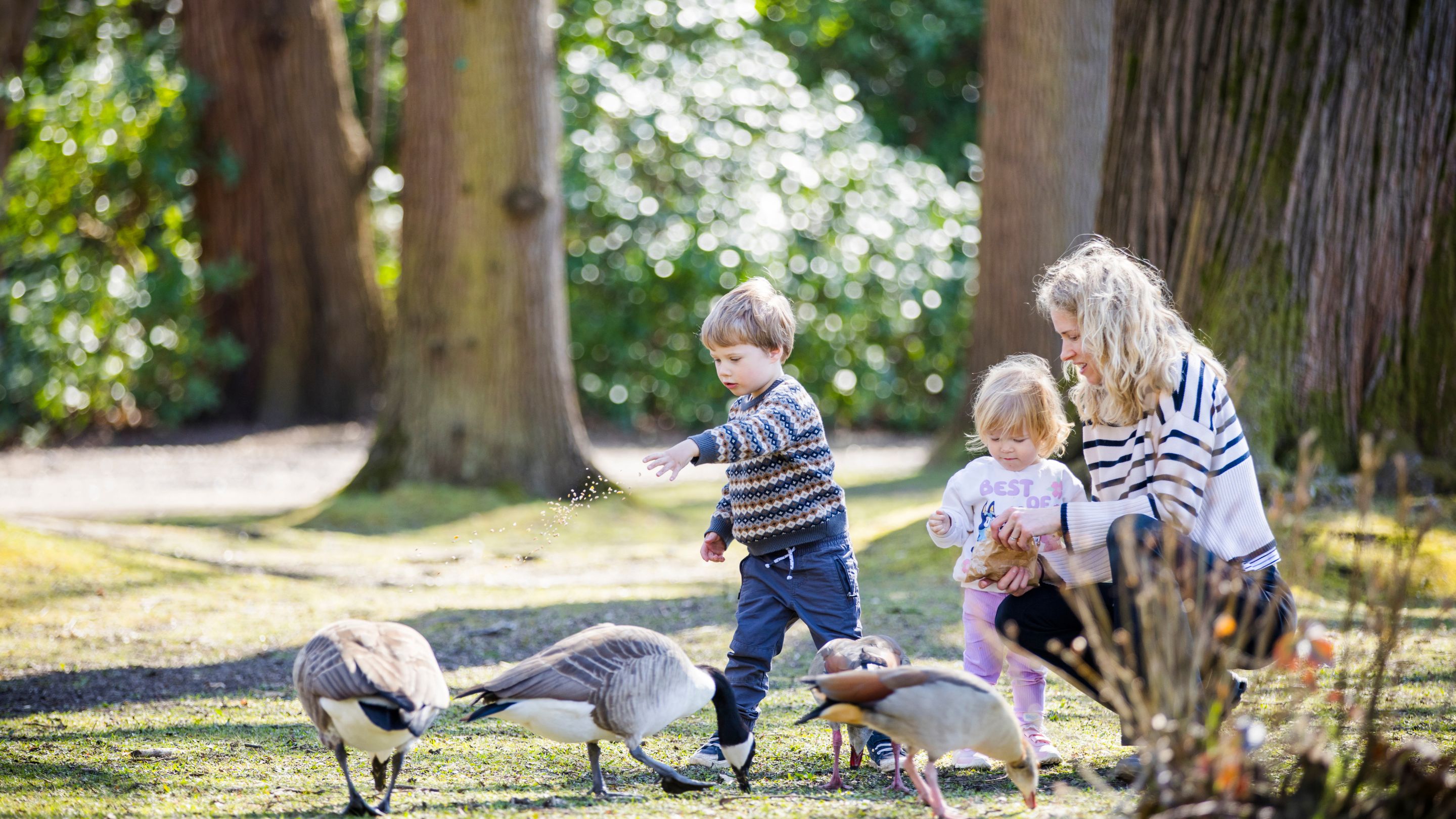 A mother bent down, helping her children feed the geese at Claremont Landscape Garden