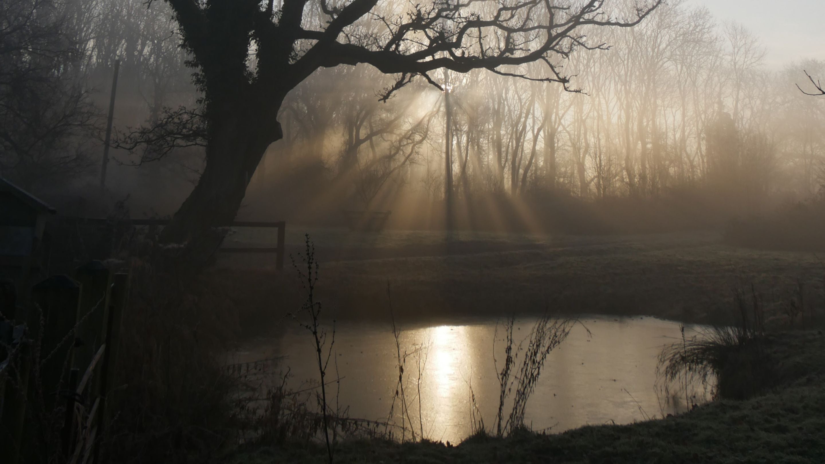 Frosty pond at Harewoods, Surrey