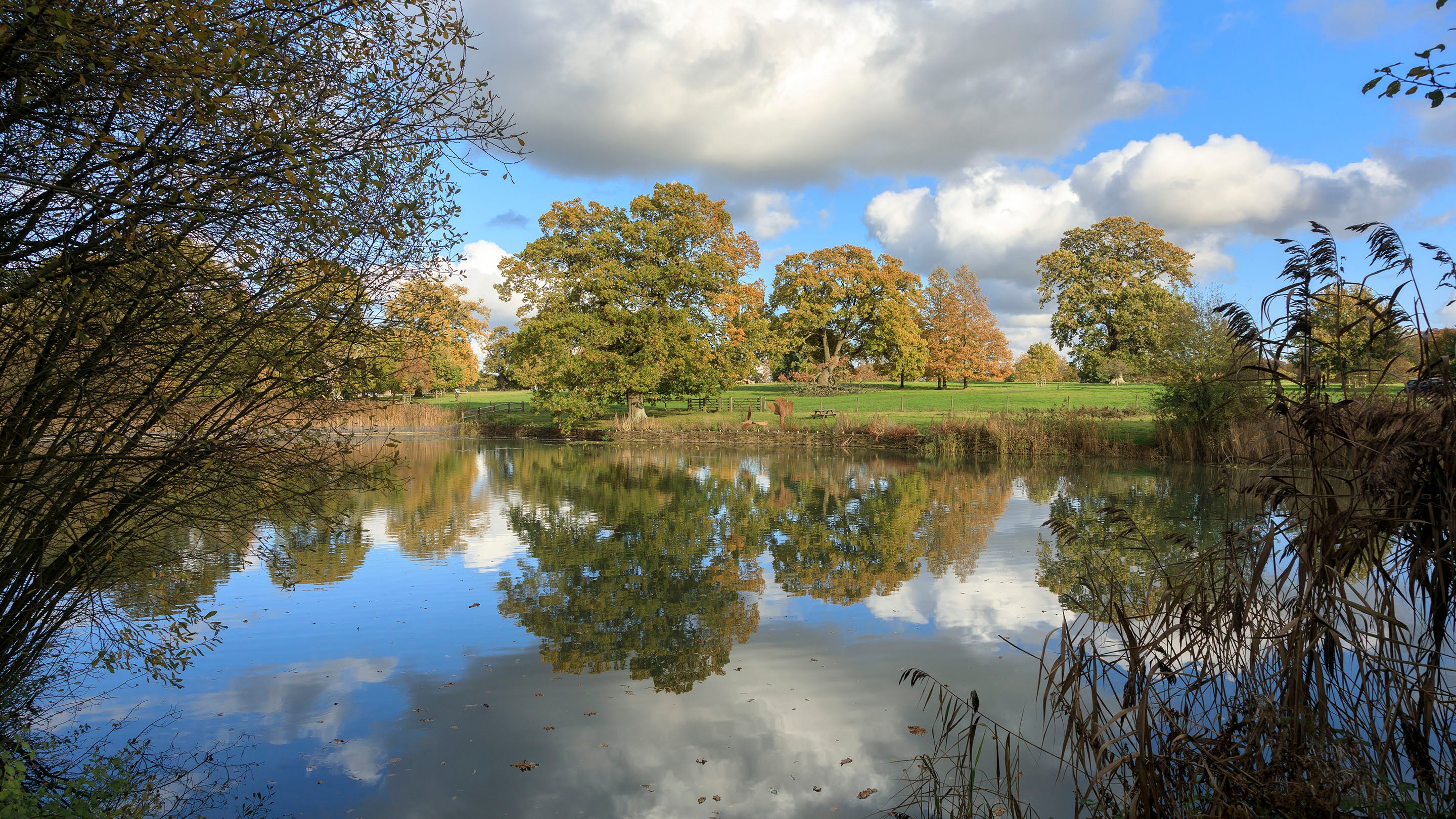 A bright November day at Hatchlands Park, Surrey