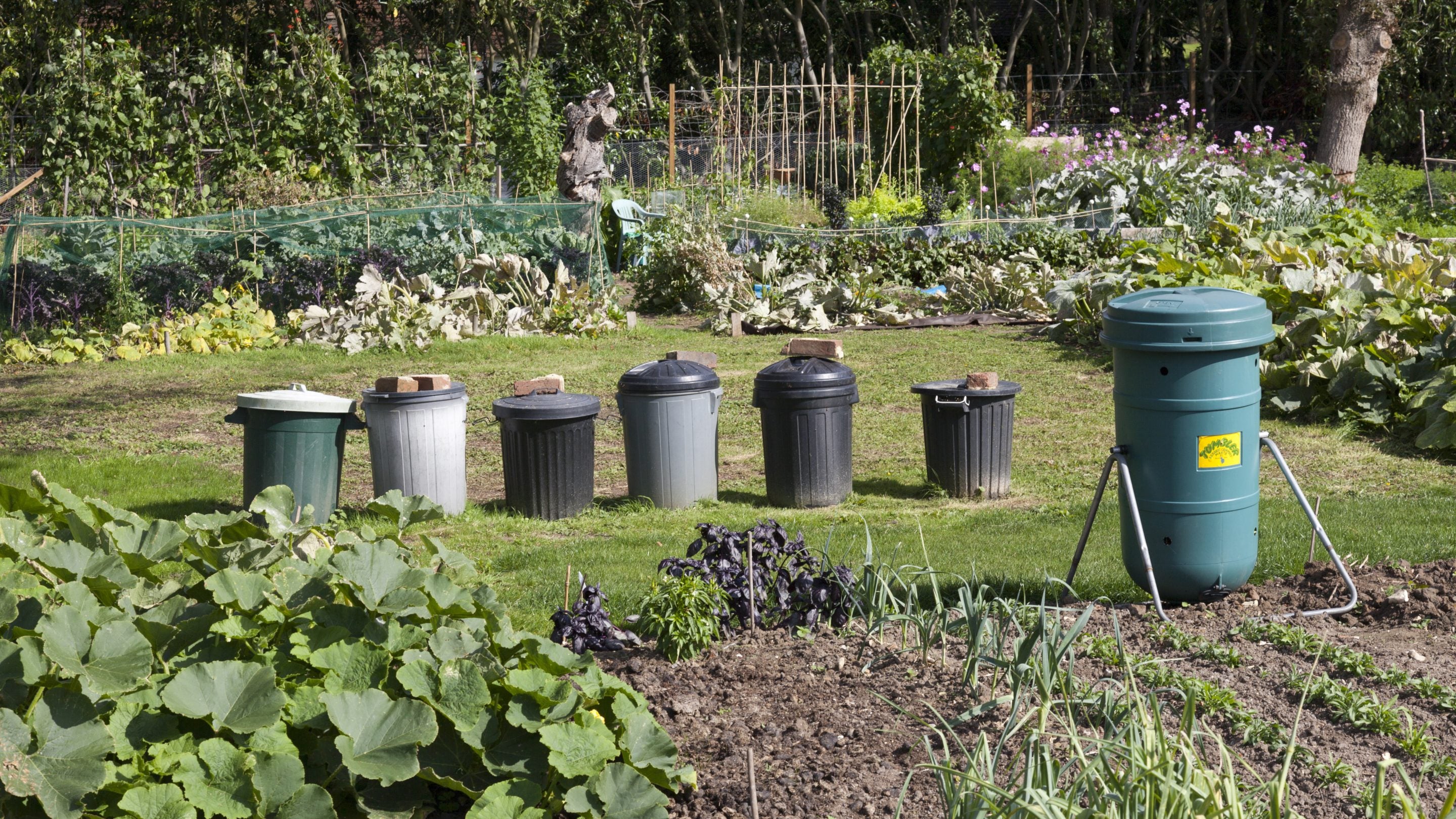 A row of compost bins stands next to a vegetable bed in the community kitchen garden at Hatchlands Park, Surrey.