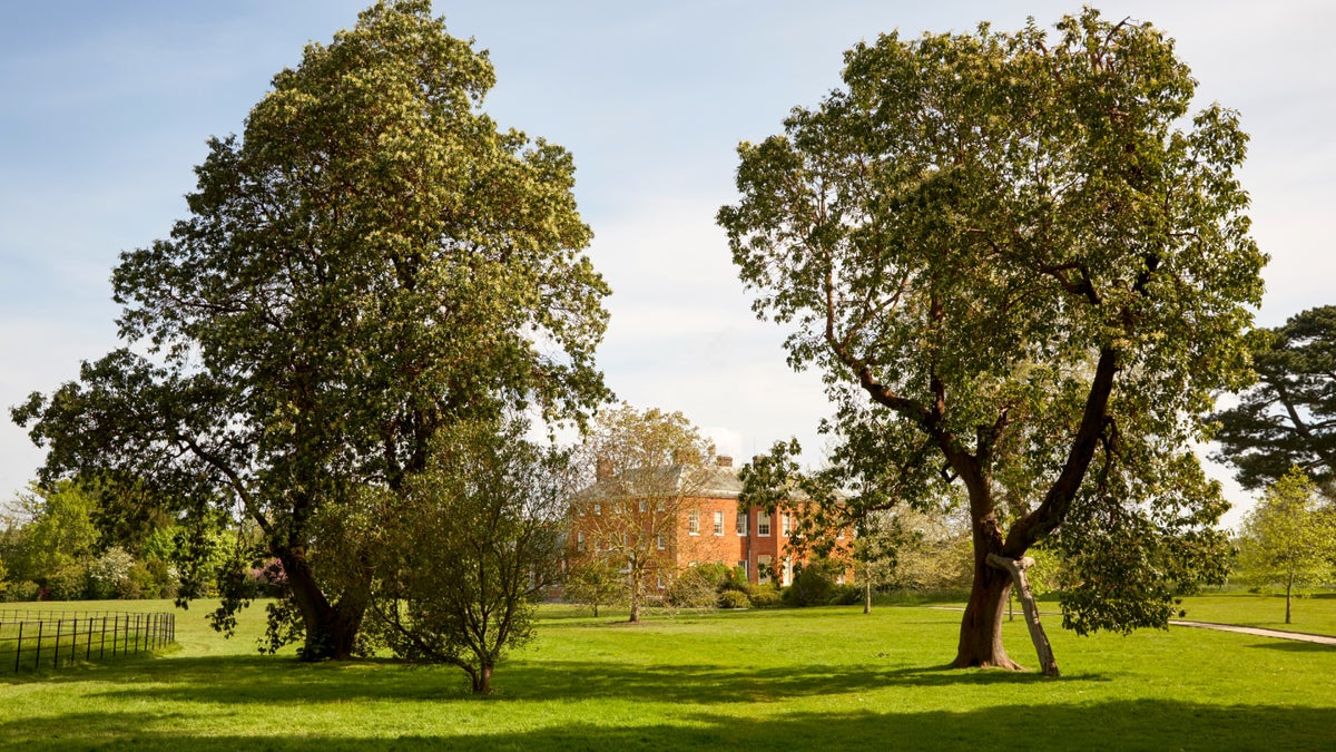 Hatchlands Park in Guildford