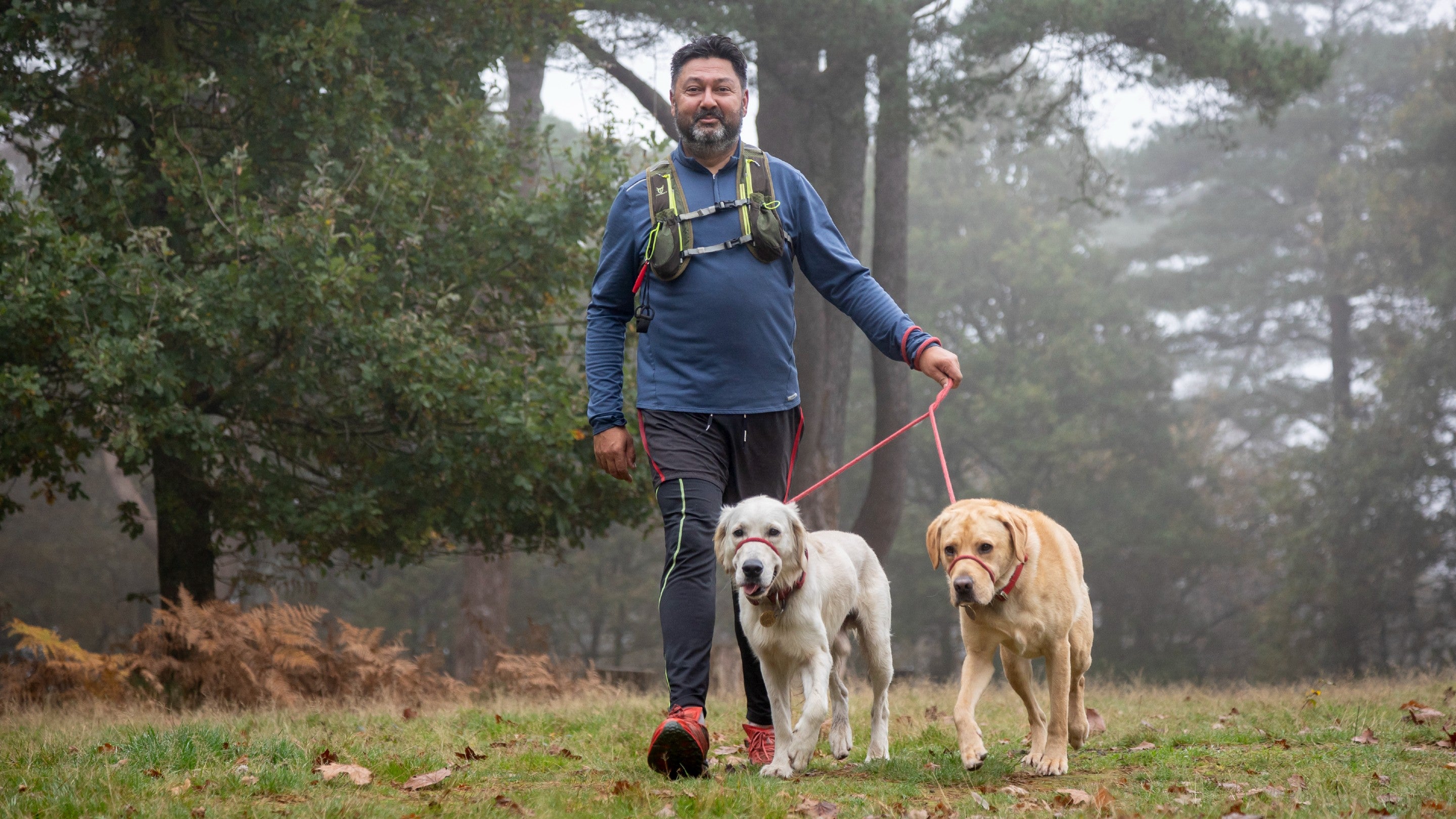 Man in running gear walking two dogs on leads at Hindhead Park