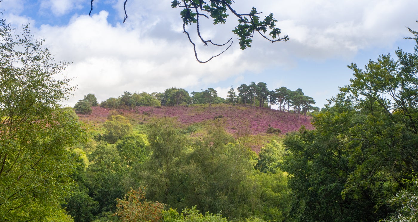 Enjoy views across the Devil's Punch Bowl valley