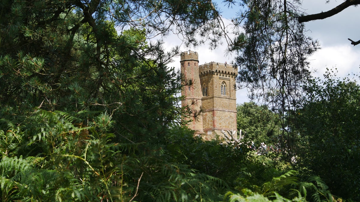 Leith Hill, from National Trust