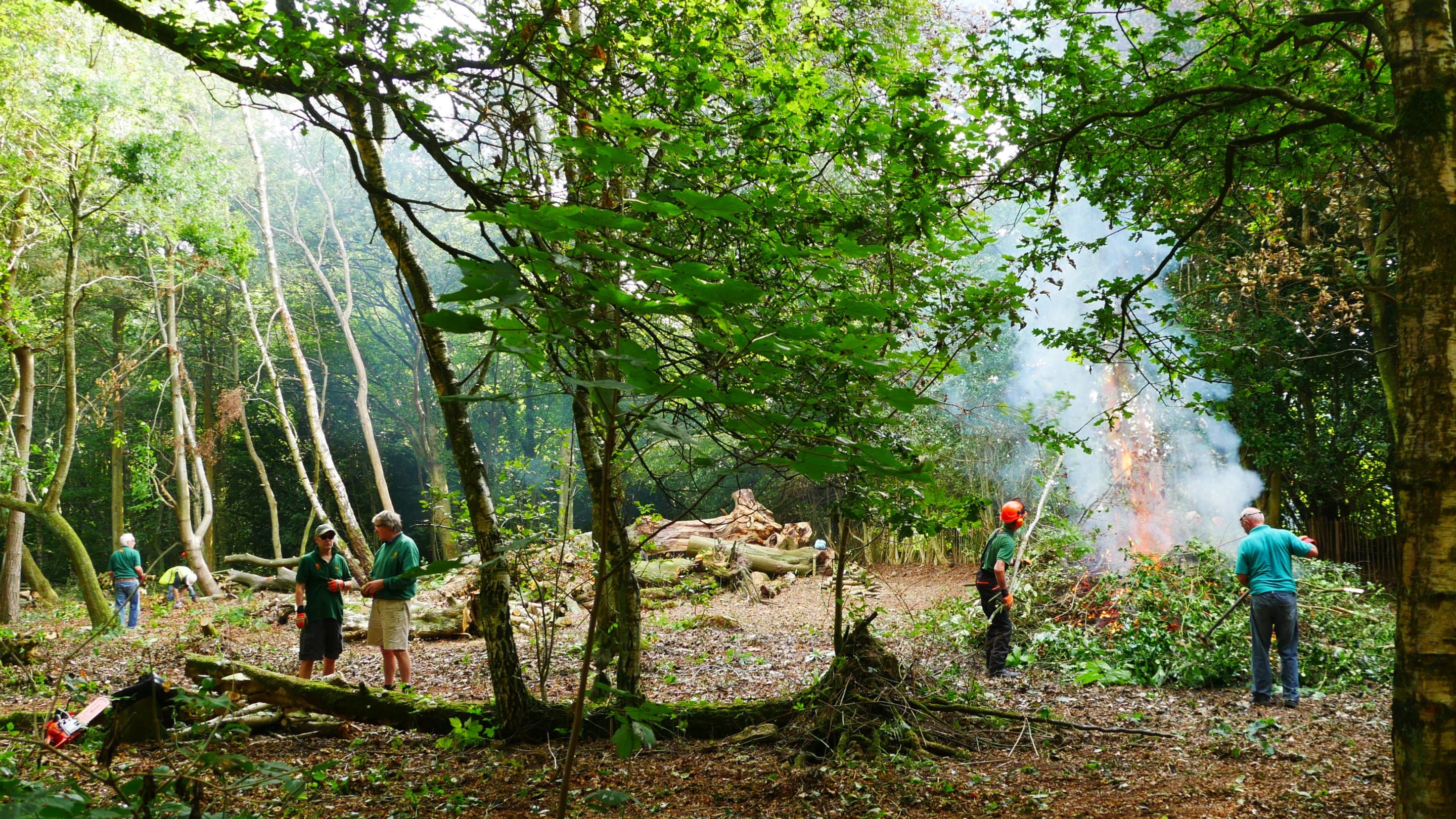 Volunteers clearing woodland at Limpsfield Common, Surrey