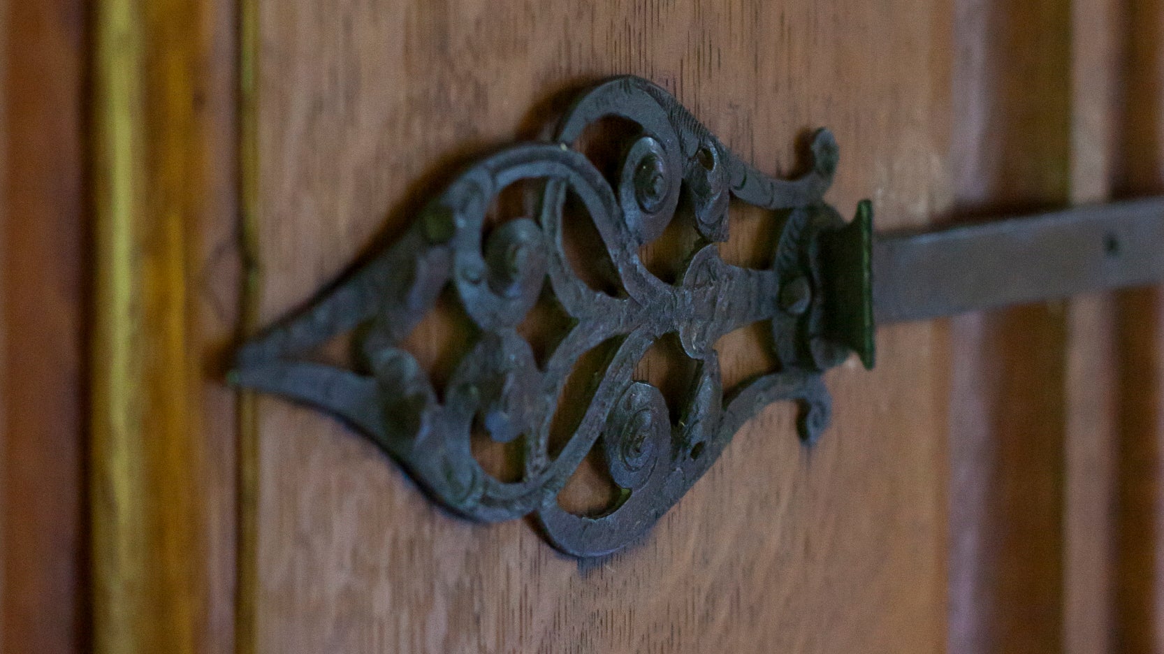 A decorative black iron door hinge is shown close up on an oak door