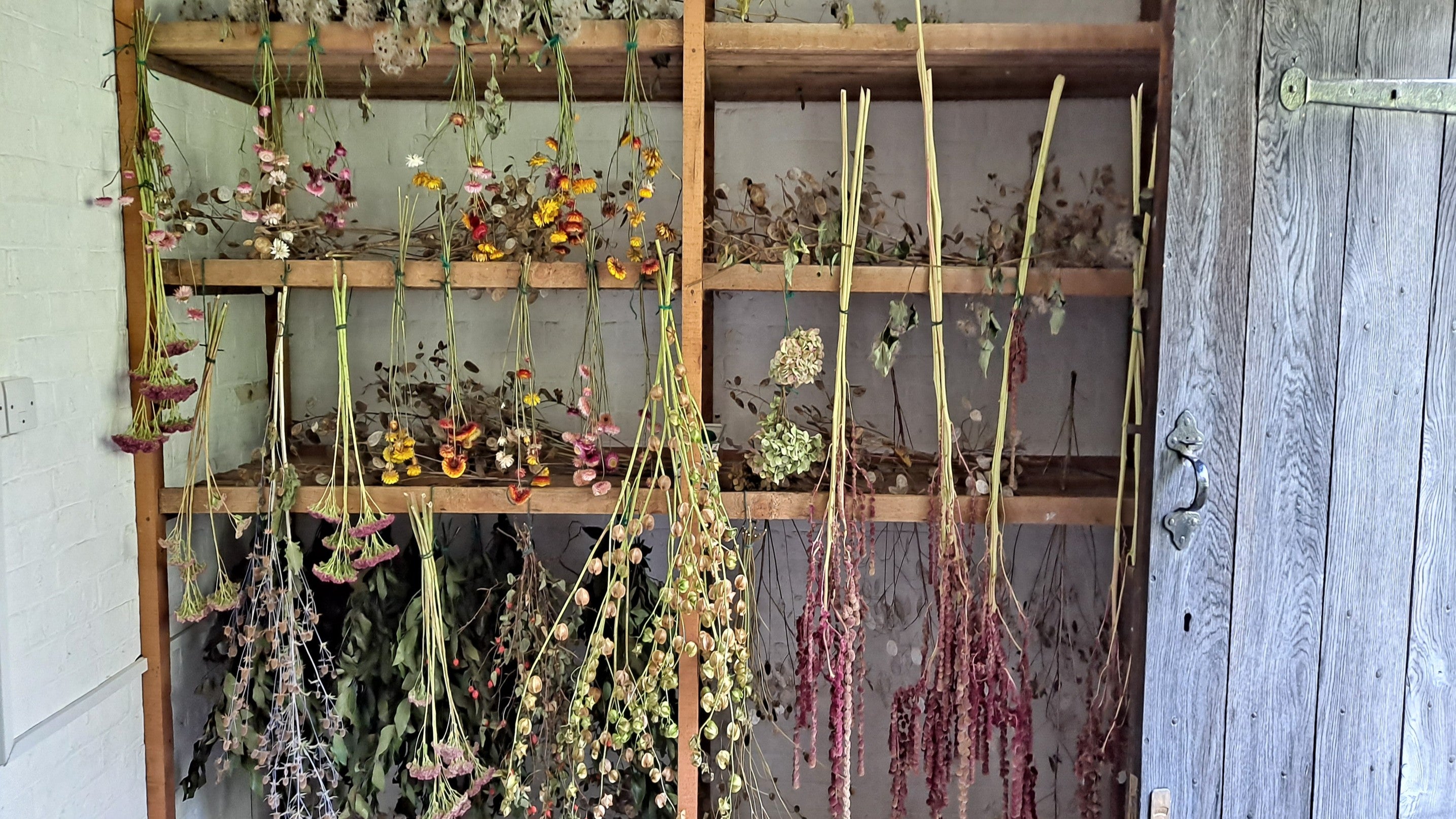 An interior of a small room with wooden shelve with dried flowers hanging from them and an open wooden door to outside.