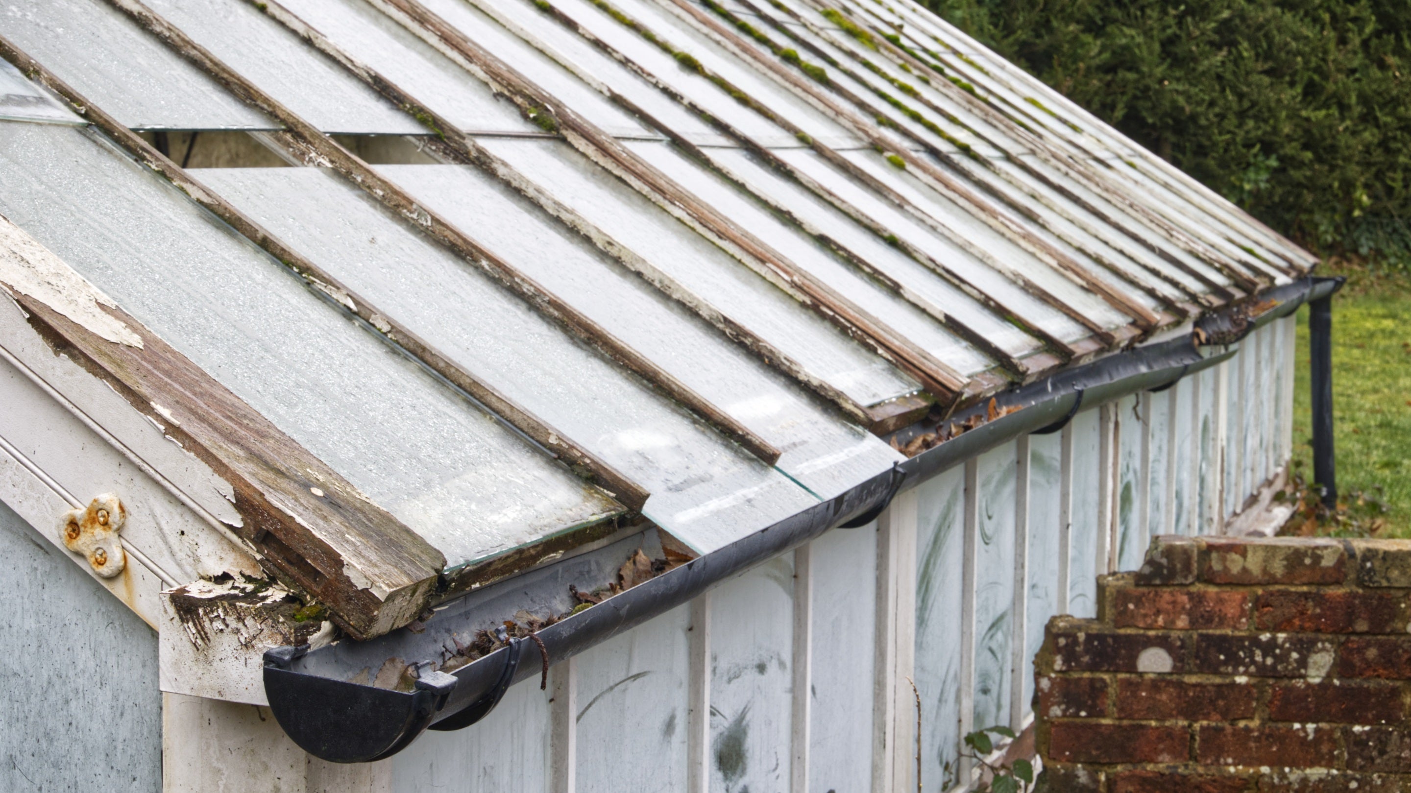 Detail of a white painted glasshouse, the gutter needs repair and some of the glass panes are damaged.