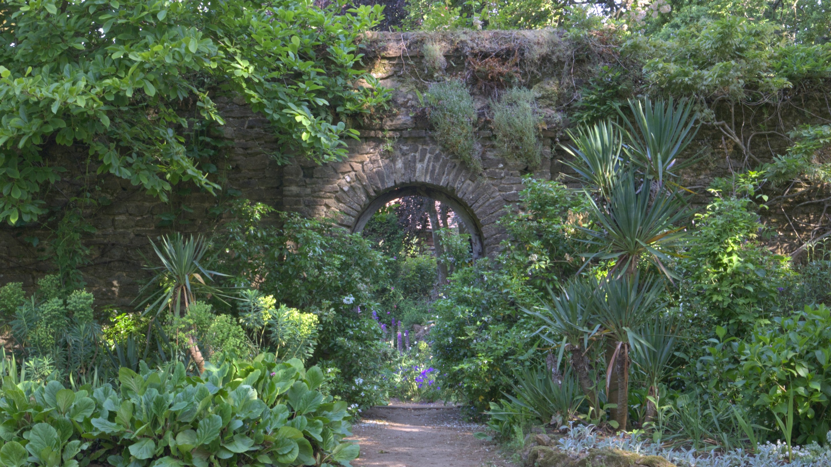 An open arched doorway in a large garden wall is surrounded by lush green mediterranean planting