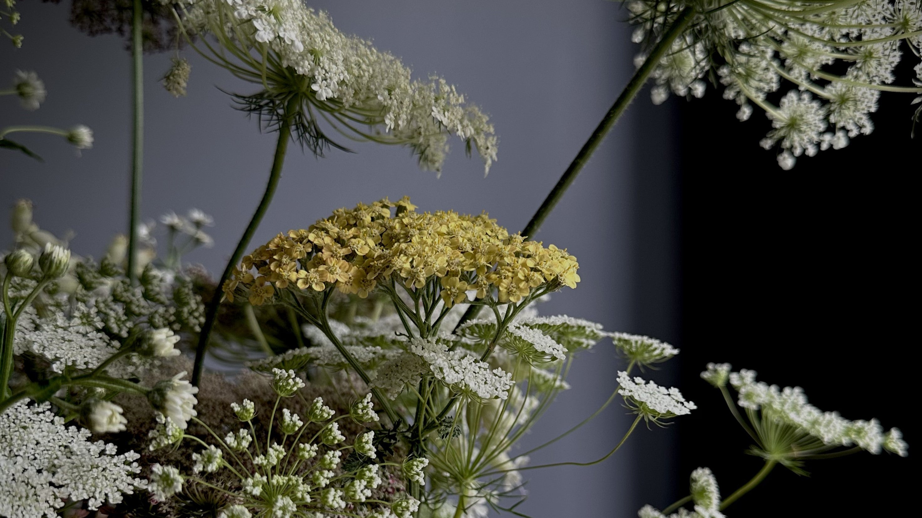 Floral Arrangement in pale colours