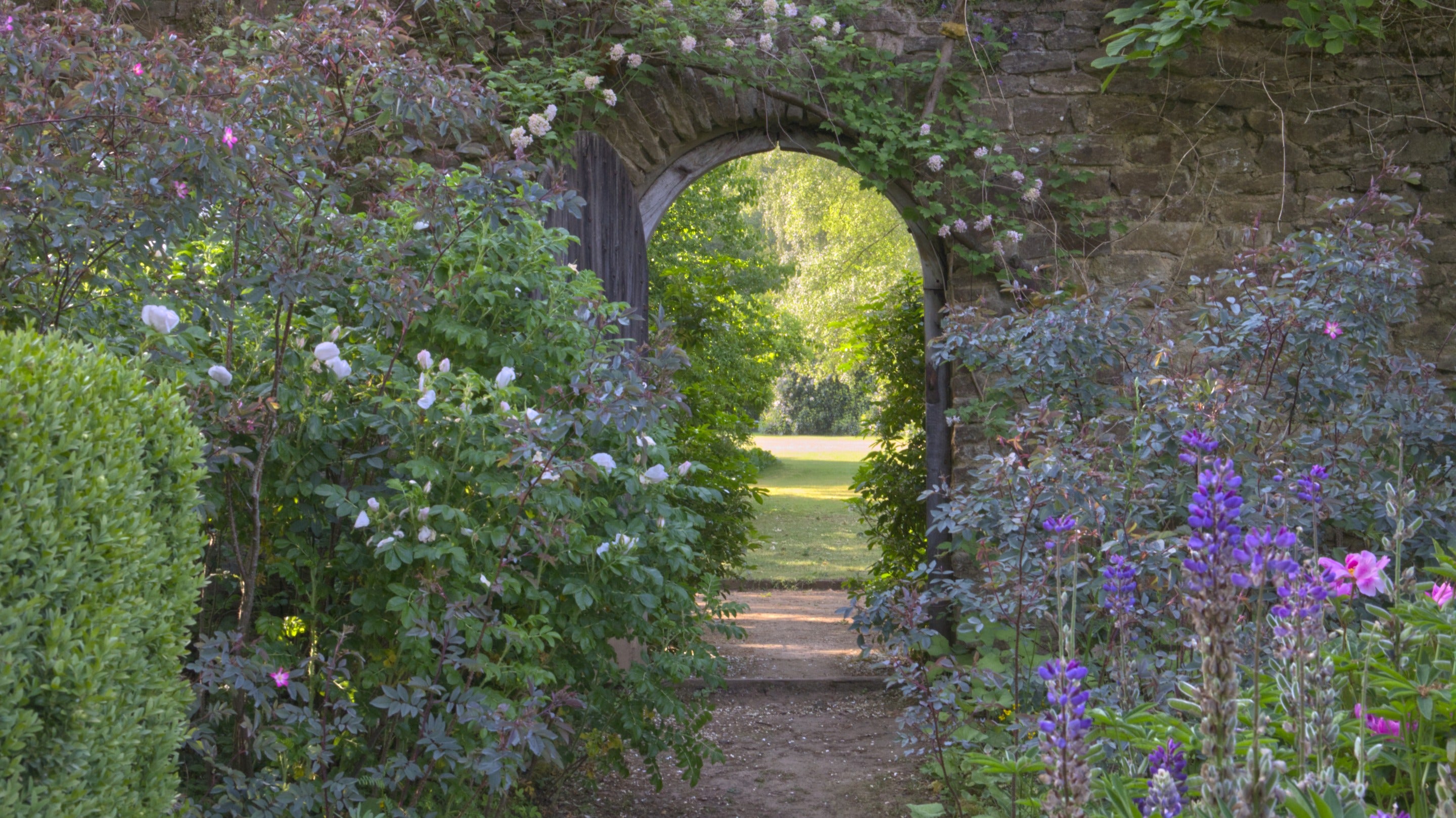 Arched wooden door in a stone wall opened onto a view of a sunlit lawn. The wall is covered with climbing roses with more plants and flowers growing in front of the wall