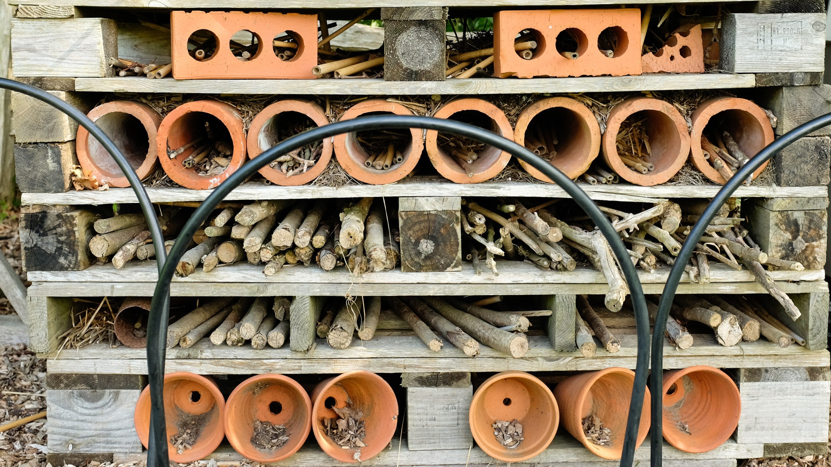 Bug hotel in the orchard at Polesden Lacey, Surrey showingstacked  flower pots, sticks and pine cones to attract insects.