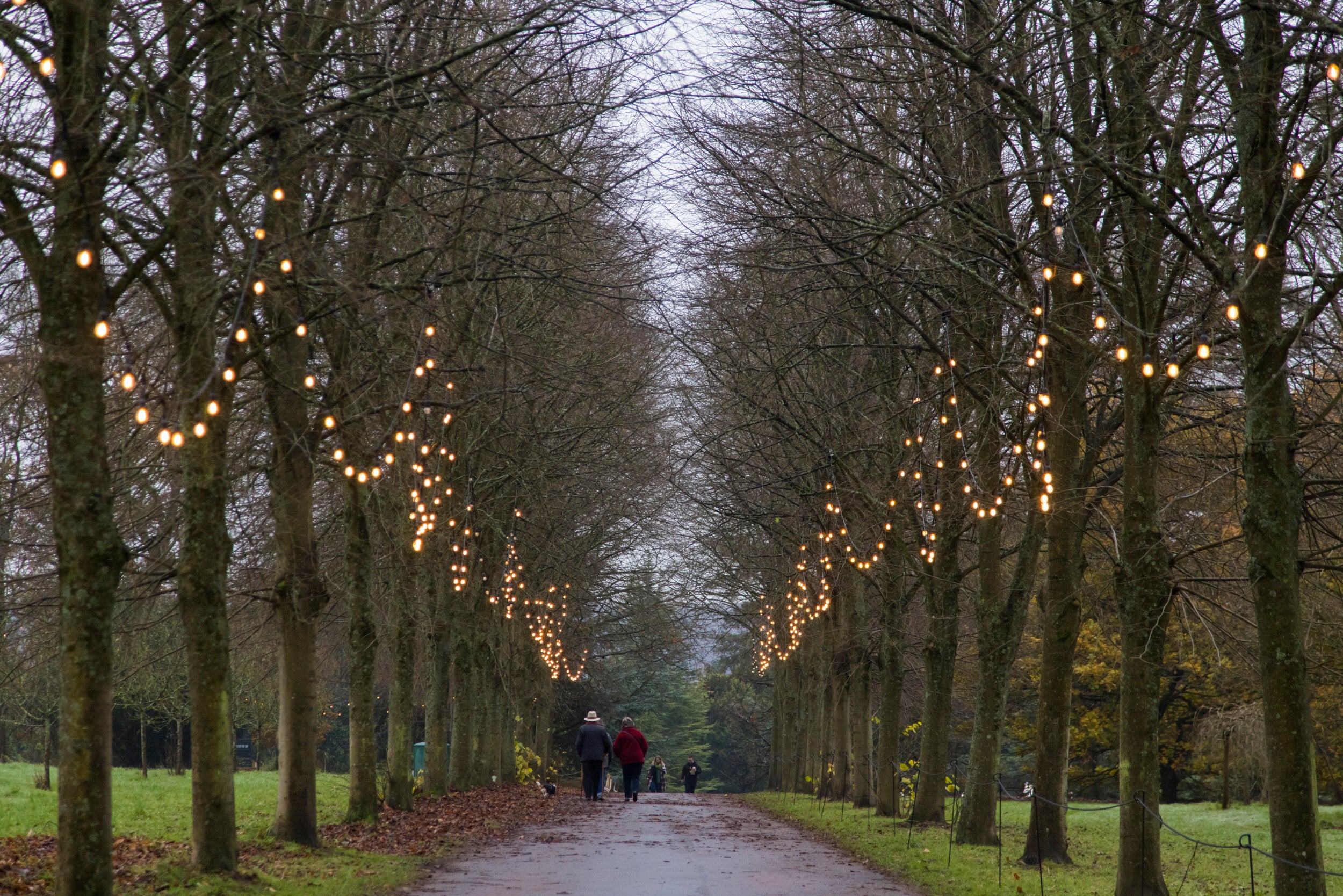 Visitors walking along the pathway at Polesden Lacey