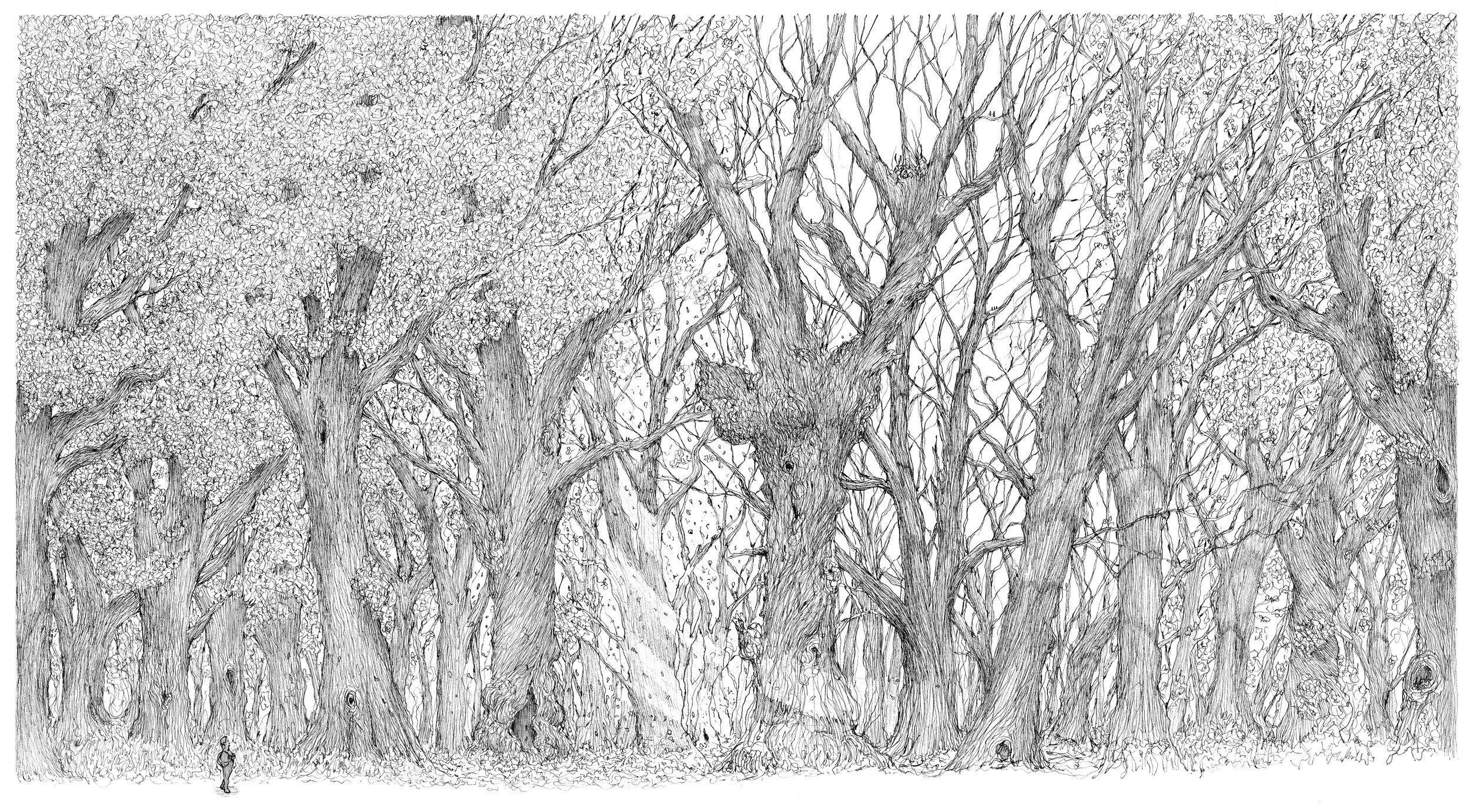 Illustration of child walking through a forest