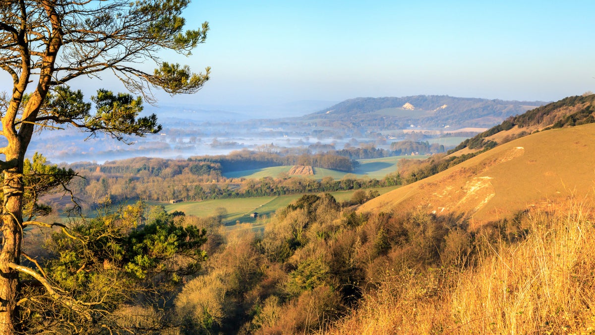 Reigate Hill And Gatton Park Surrey National Trust Reigate Hill And Gatton Park Surrey National Trust