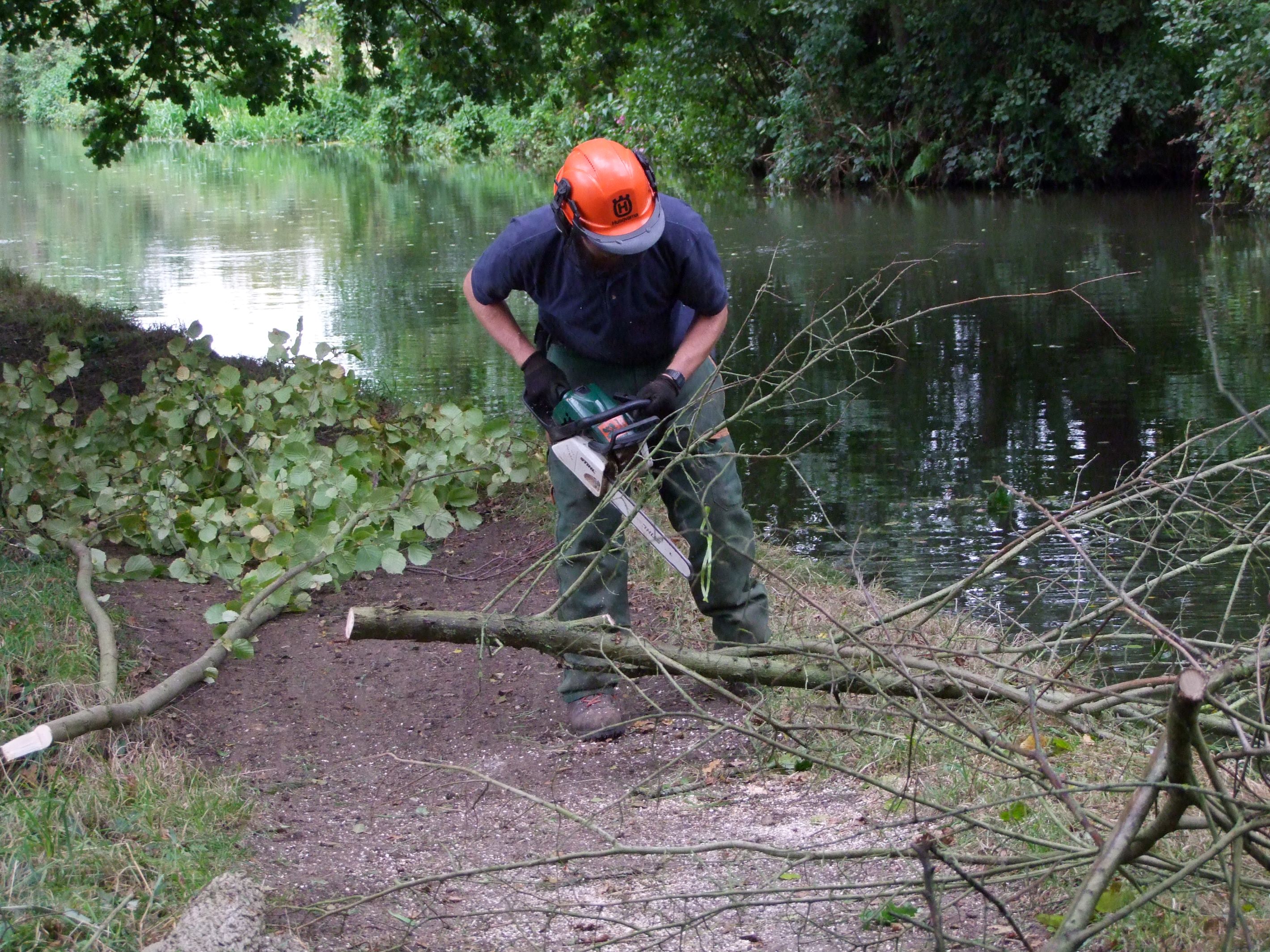 Lengthsman using chain saw to remove falled tree
