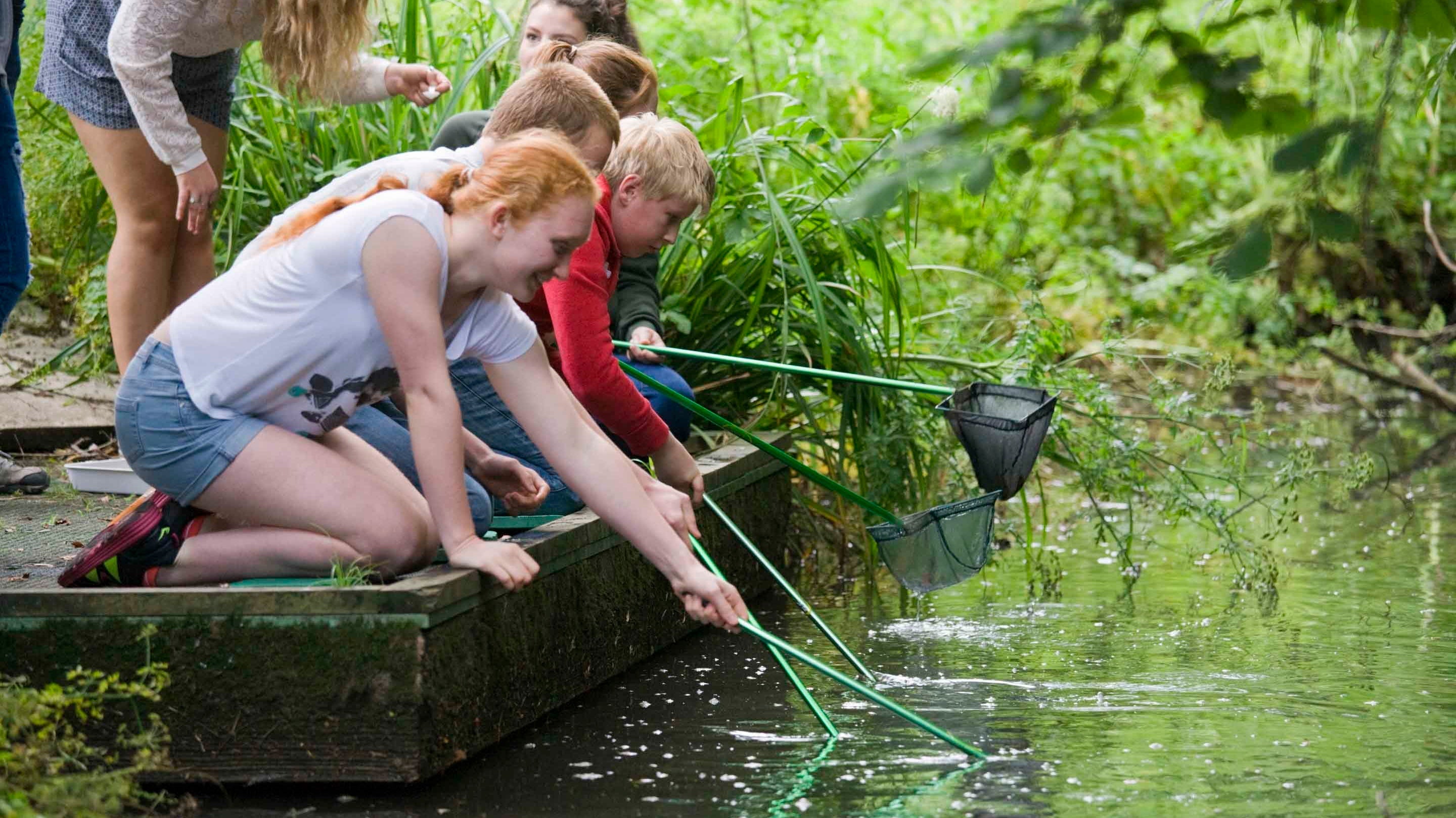 A group of teenagers kneeling on the bank dip fishing nets on poles into the water to explore water wildlife at River Wey, Surrey