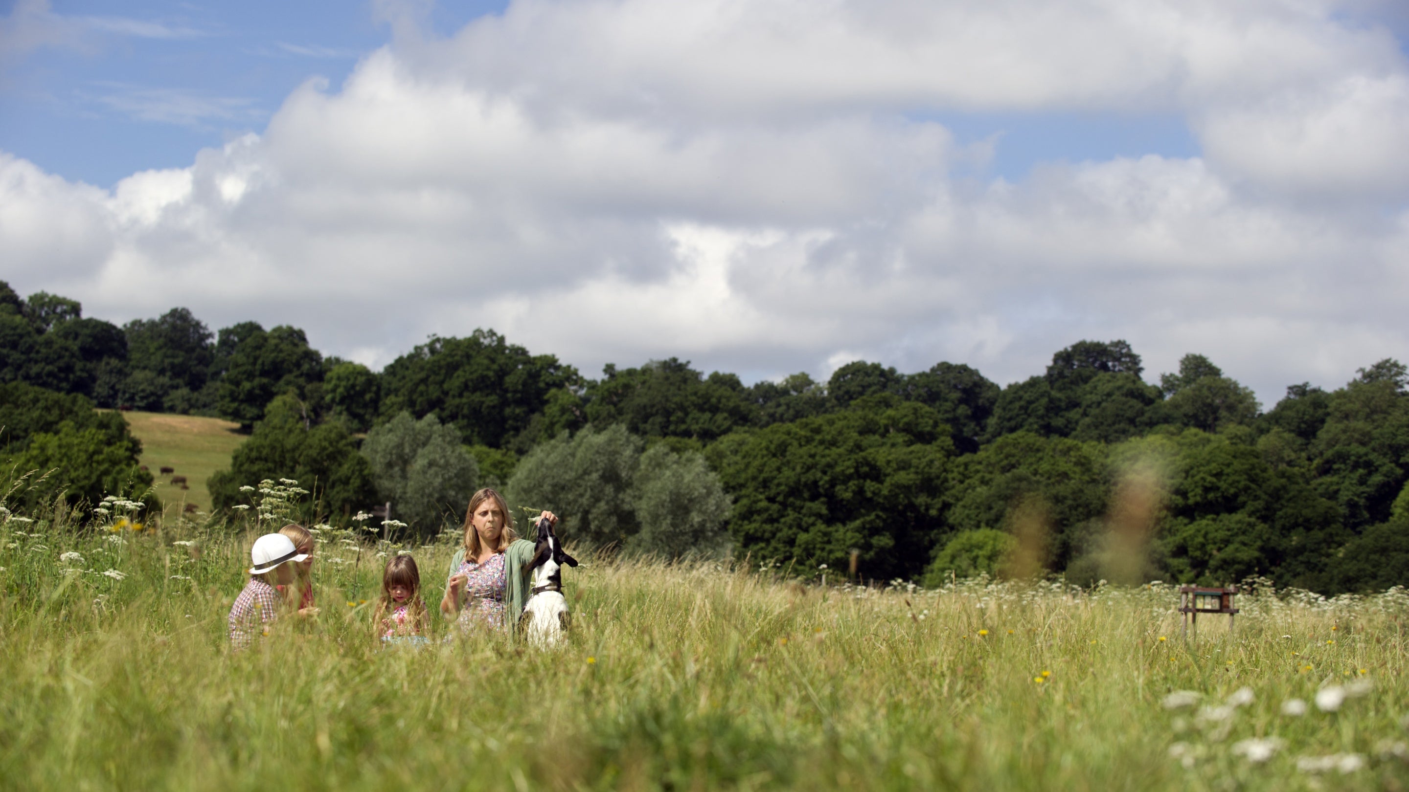 A family among the long grass in a meadow at Runnymede, Surrey