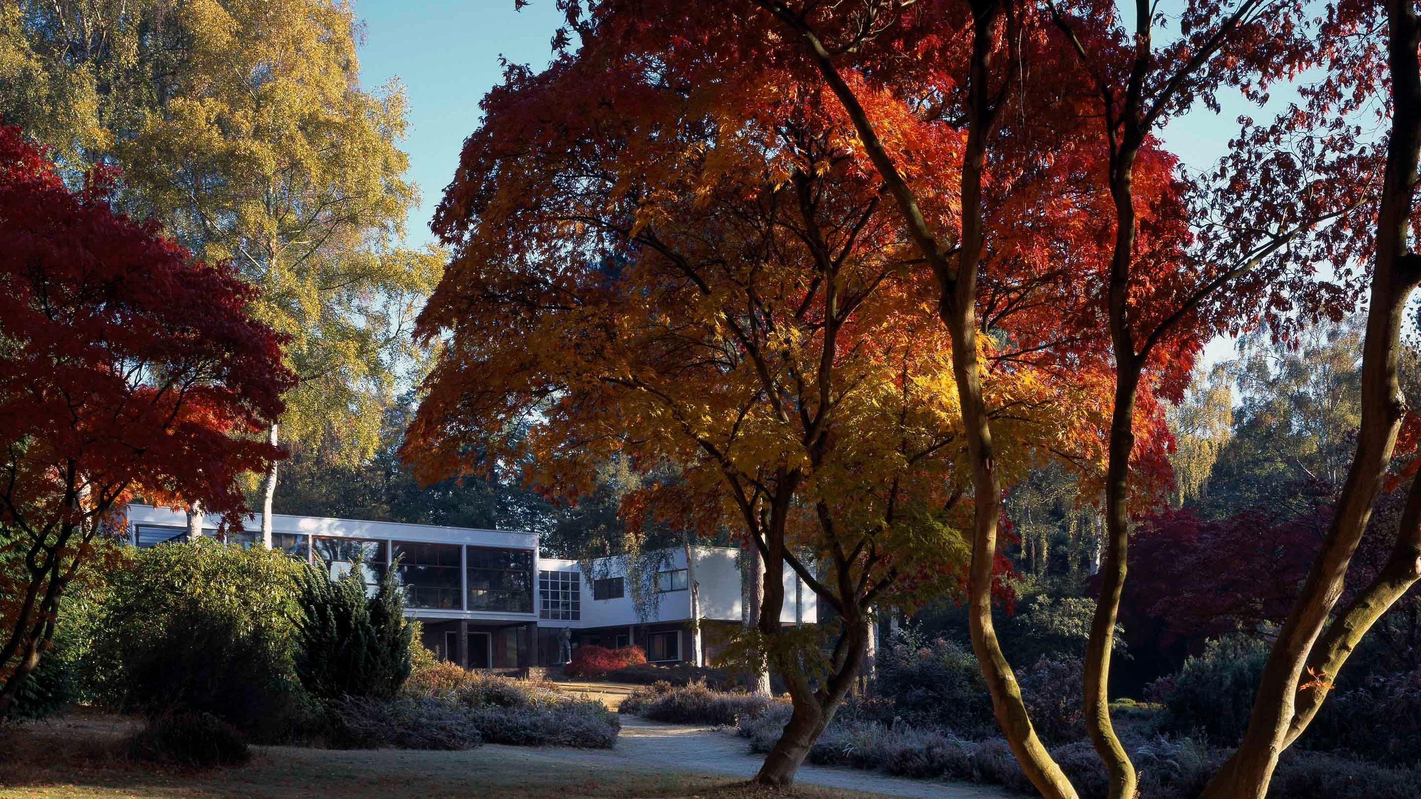 The exterior of The Homewood, Surrey, surrounded by trees covered in red and orange autumn leaves.