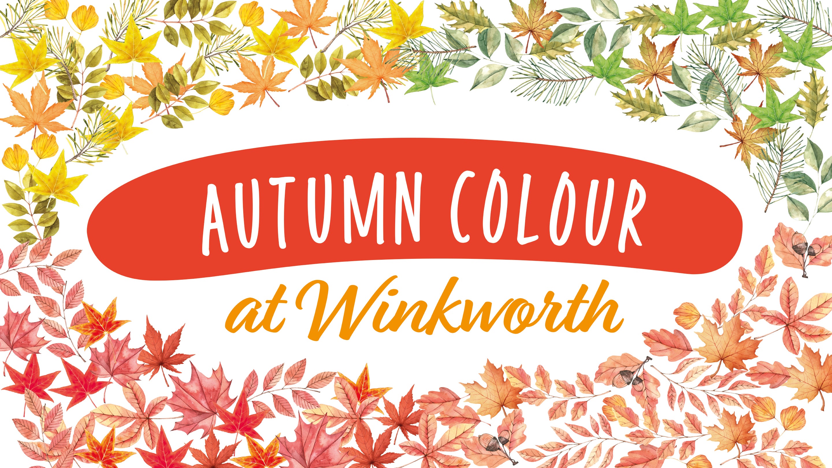 A graphic banner with the words 'Autumn colour at Winkworth Arboretum' surrounding but various leaves in a variety of autumnal colours.