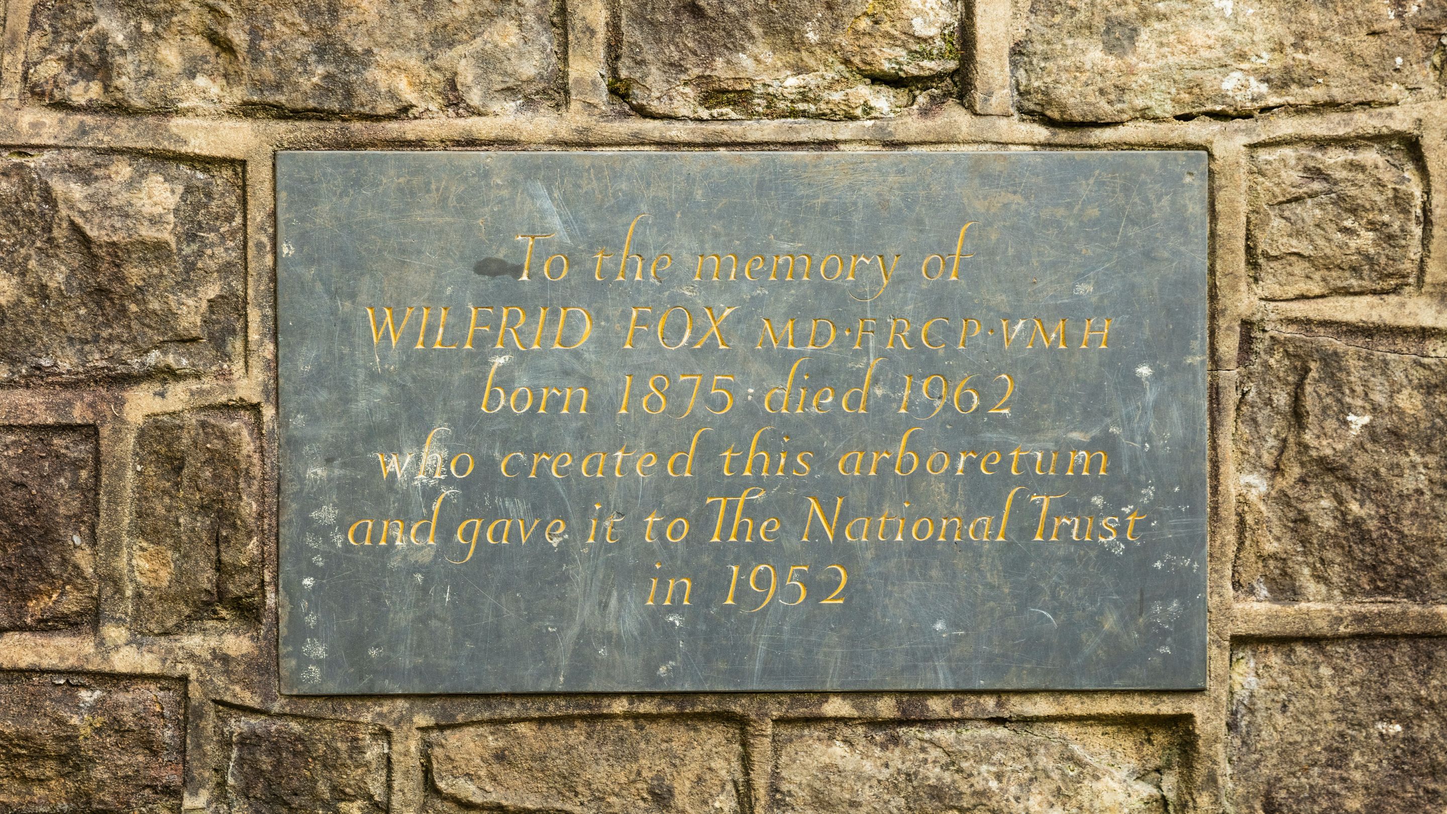 A close up of a plaque mounted on a wall with the inscription "To the memory of Wilfrid Fox MC, FRCP, VMH born 1875 died 1962 who created this arboretum and gave it to the National Trust in1952".