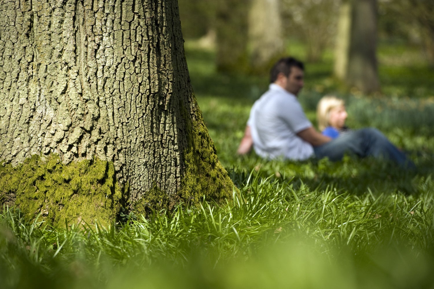 A couple lying under a tree at Winkworth Arboretum