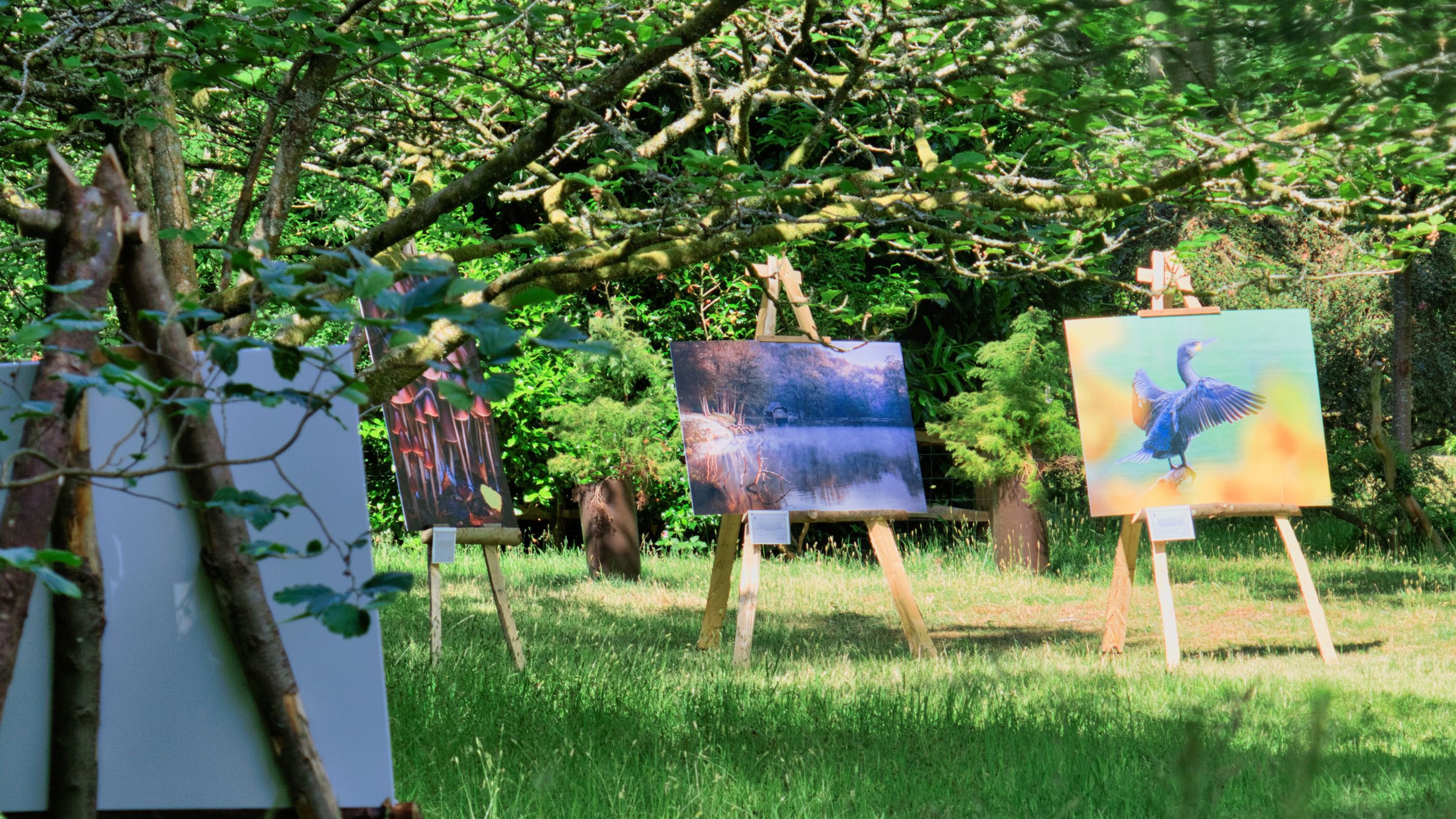 Three easles displaying photographs as part of exhibition in the Winter Garden at Winkworth.