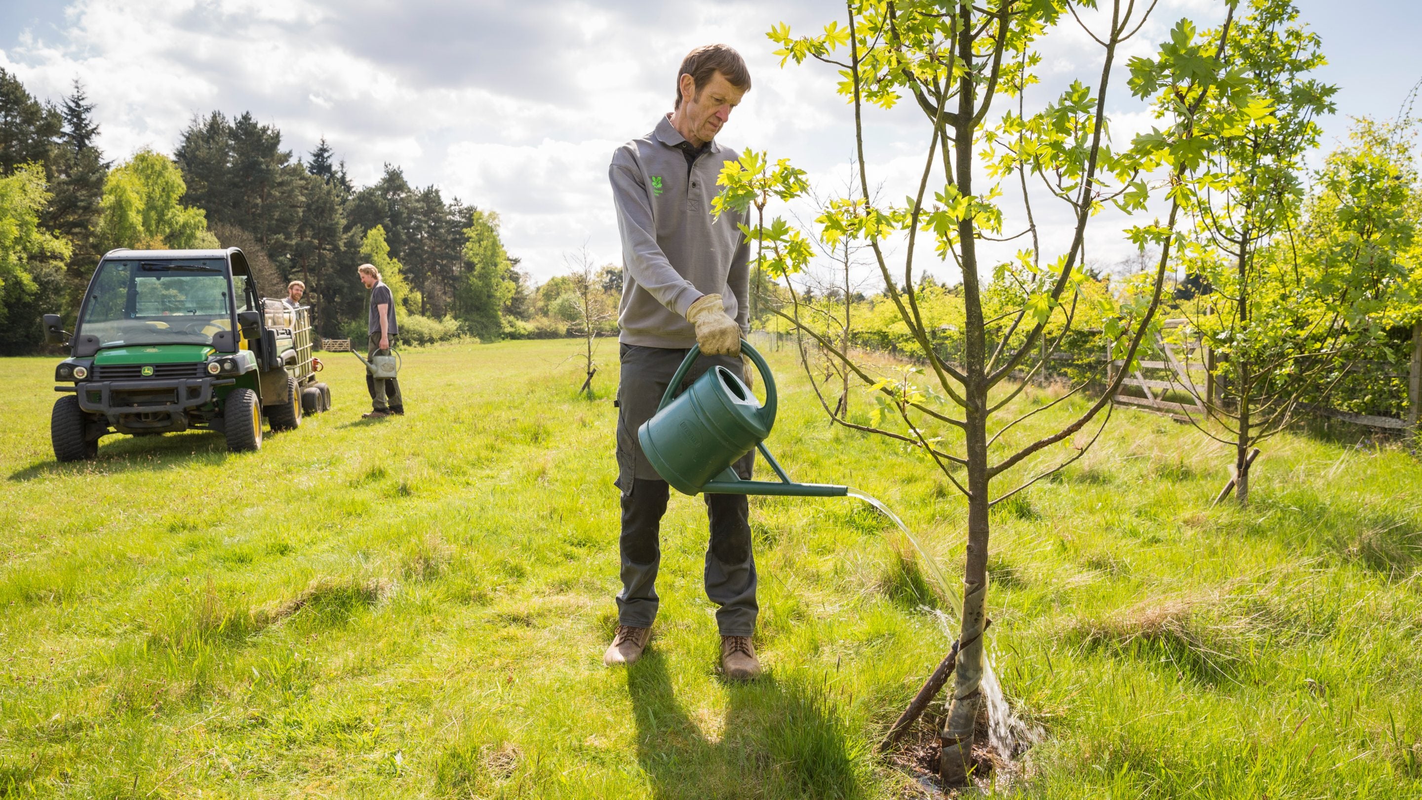 A gardener waters a newly planted tree amid grass at Winkworth Arboretum, Surrey, with other gardeners standing by a vehicle in the background