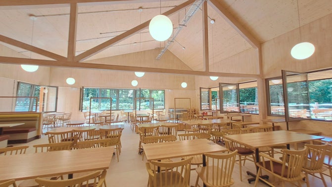 A photograph of the interior of Winkworth's new cafe. It features a large area with high ceilings and picture windows and lots of tables and chairs. Walls and ceilings are clad in light wood and there are globe lights hanging from the ceiling.