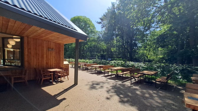 Outdoor cafe seating, some under the canopy of Winkworth's new visitor building others outside under a backdrop of trees from the arboretum.