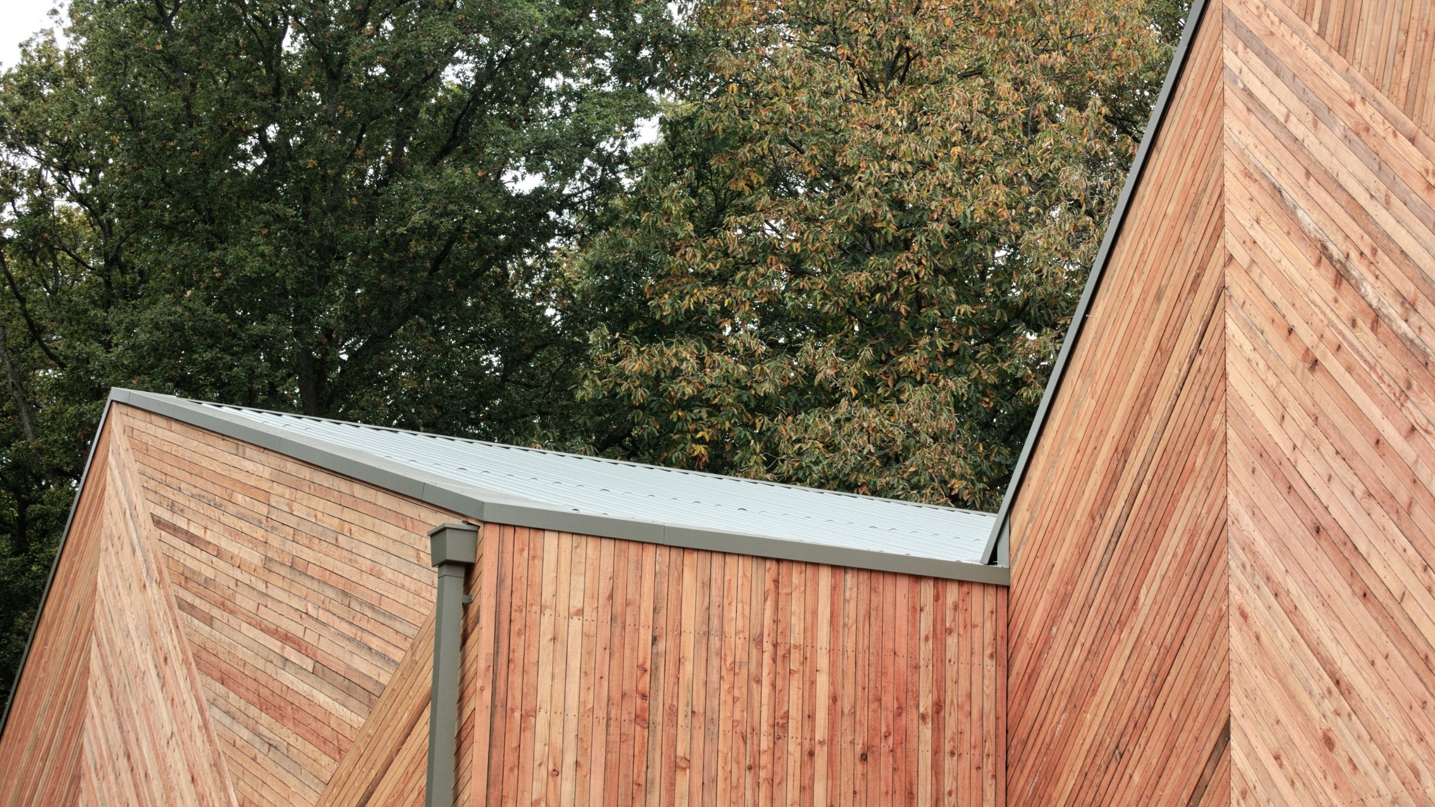 Exterior detail of roof cladding on new facilities at Winkworth Arboretum