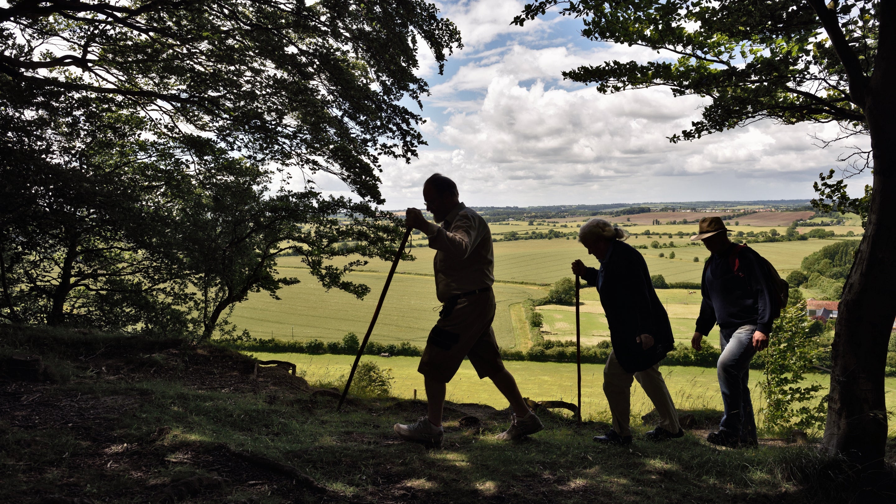 The silhouette of three people walking, using walking poles with fields in the background
