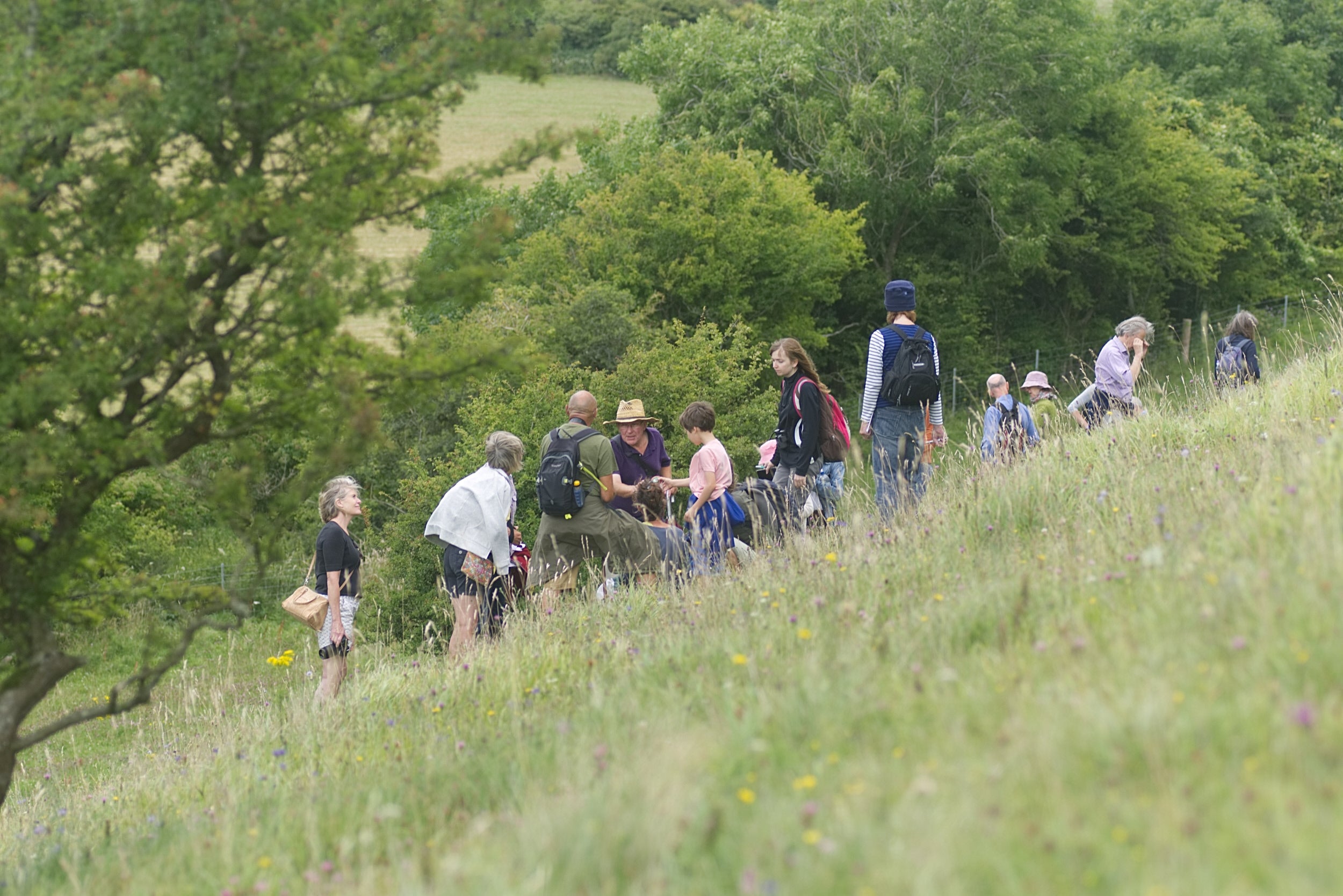 a group of people on a hill looking for butterflies