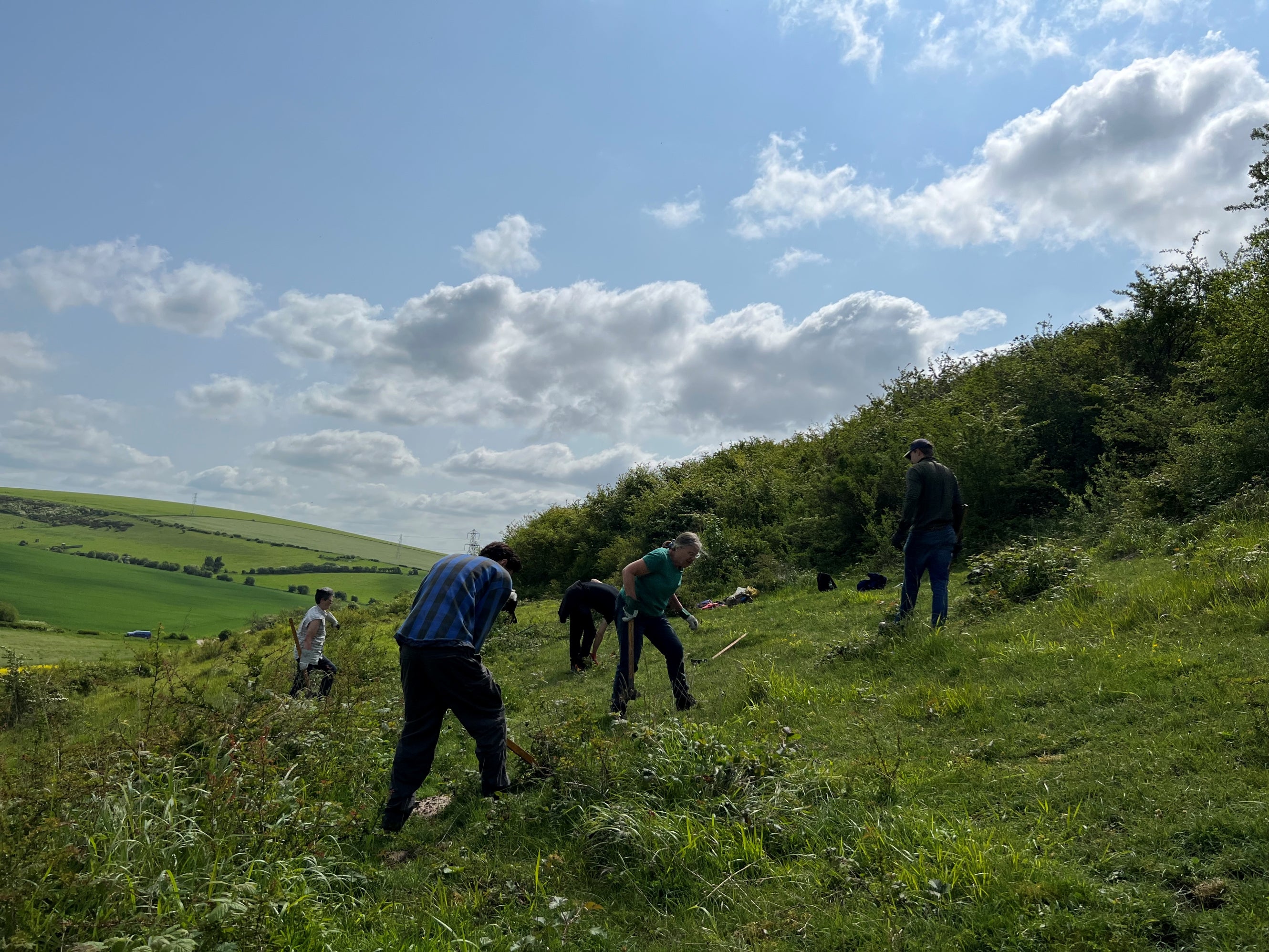A group of volunteers carrying out conservation work on Southwick Hill