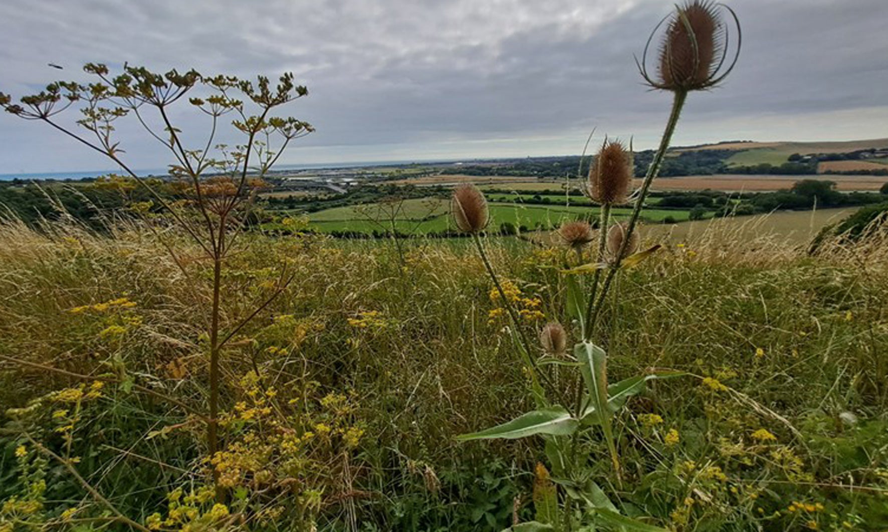 A photo of a view on the South Downs