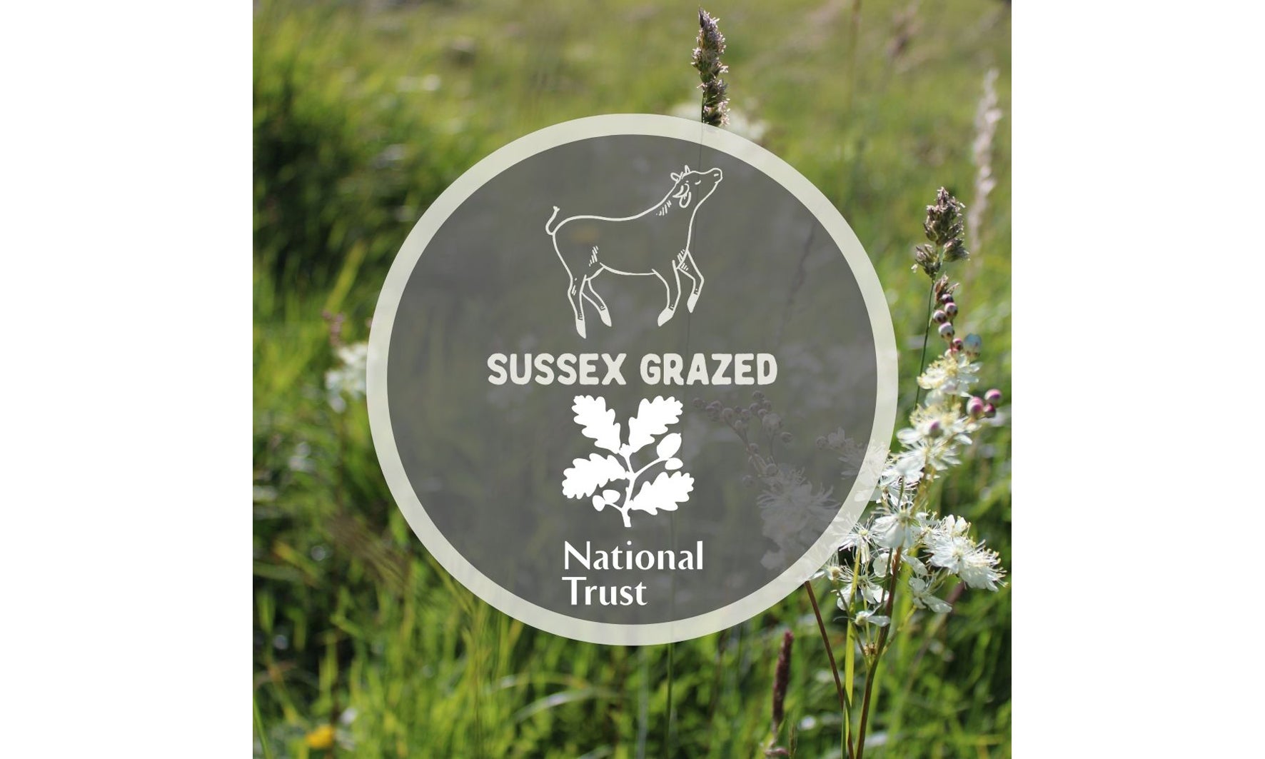 A logo for Sussex Grazed with the National Trust