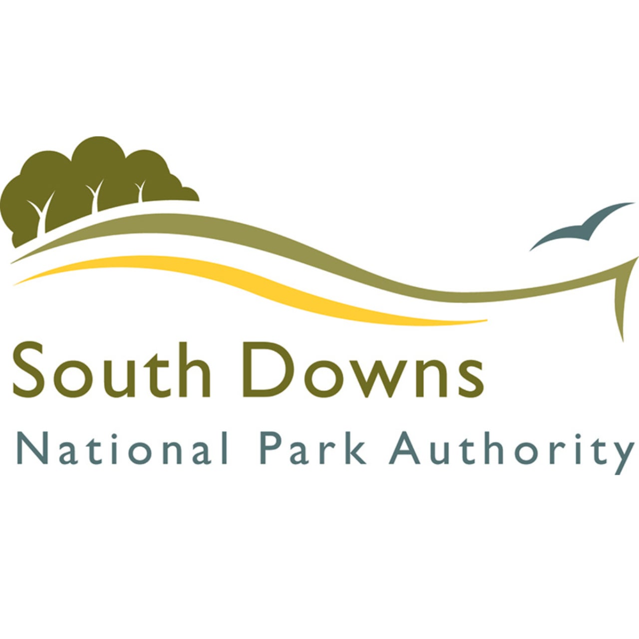 South Downs National Park Authority