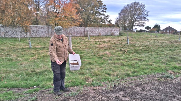 Person broadcasting wild meadow flower seeds