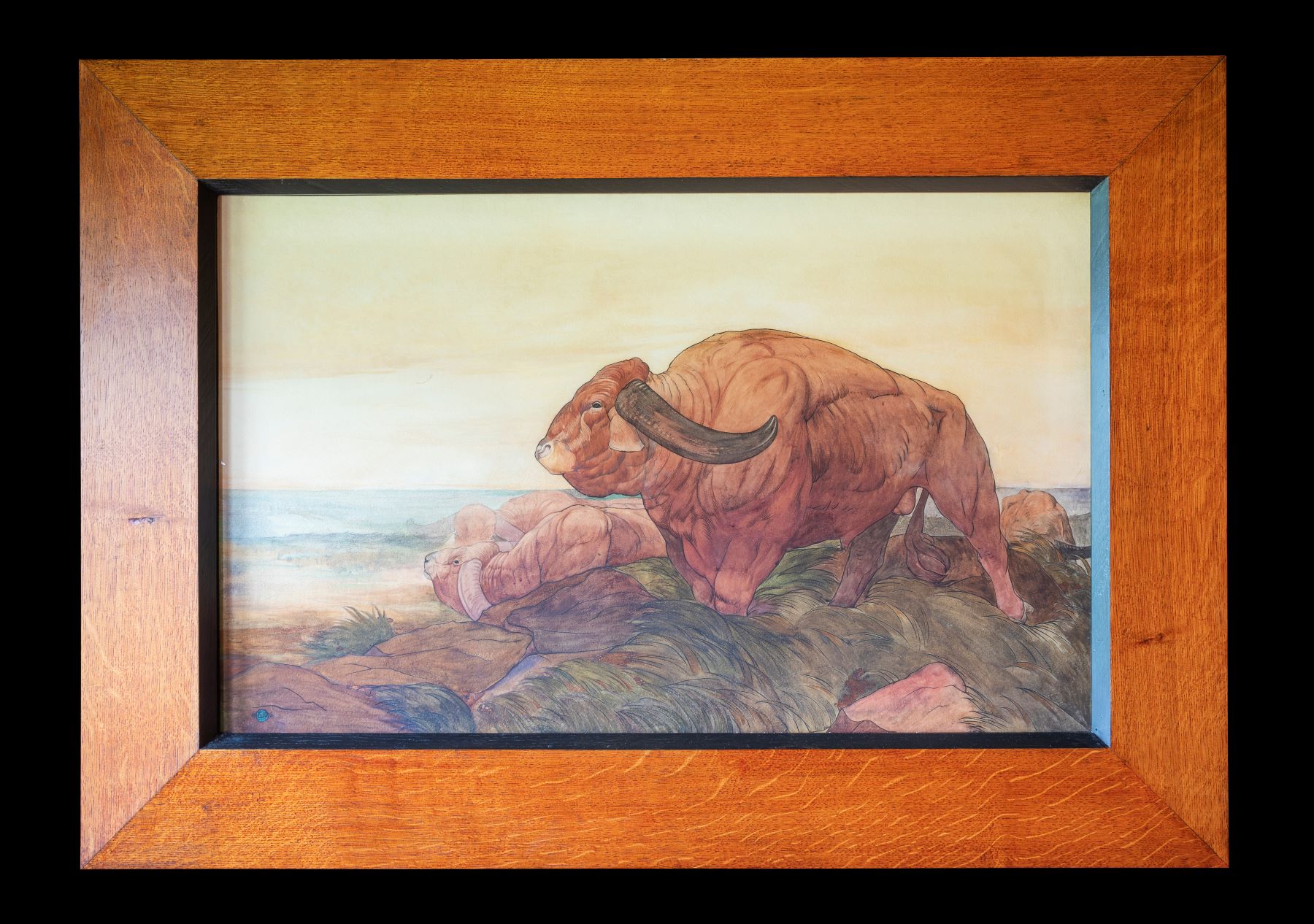 A watercolour painting of a herd of buffalo from The Jungle Book. It is in a wooden frame.