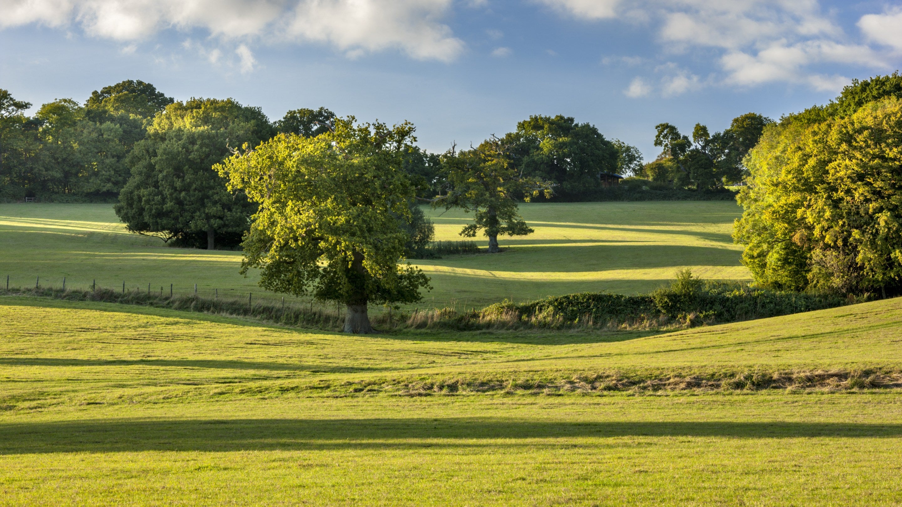 Rolling grass and trees of the estate at Bateman's, East Sussex