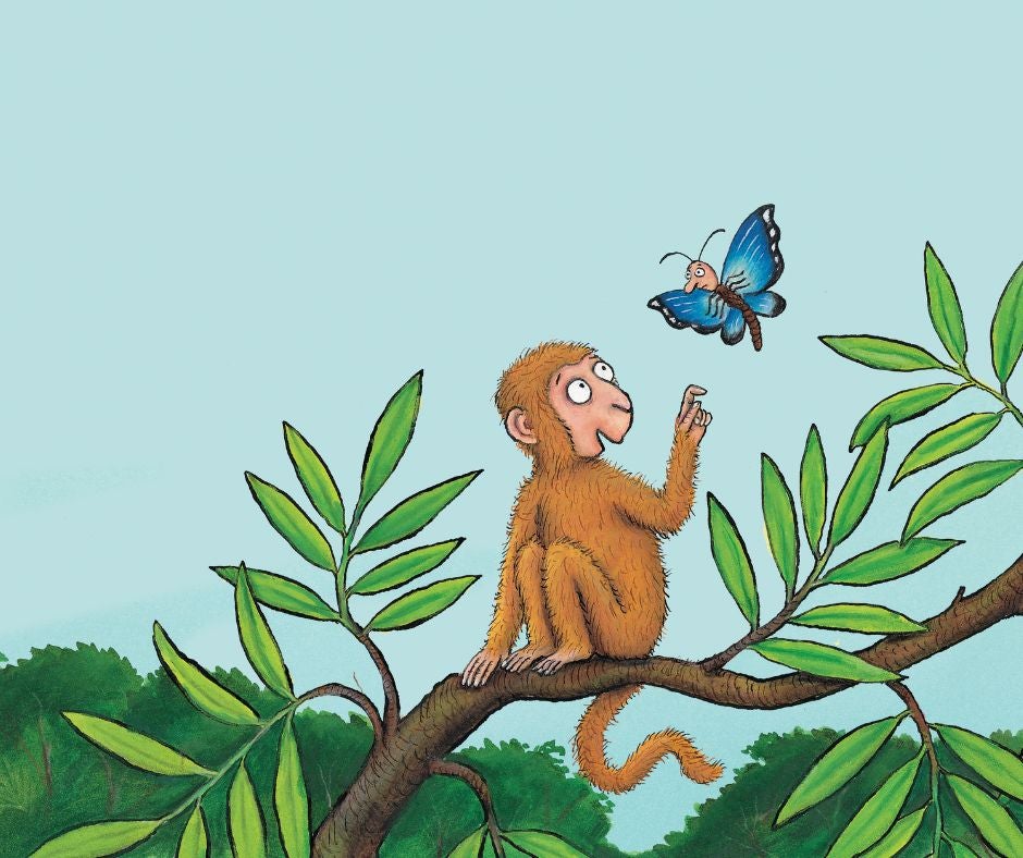 Monkey Puzzle illustration