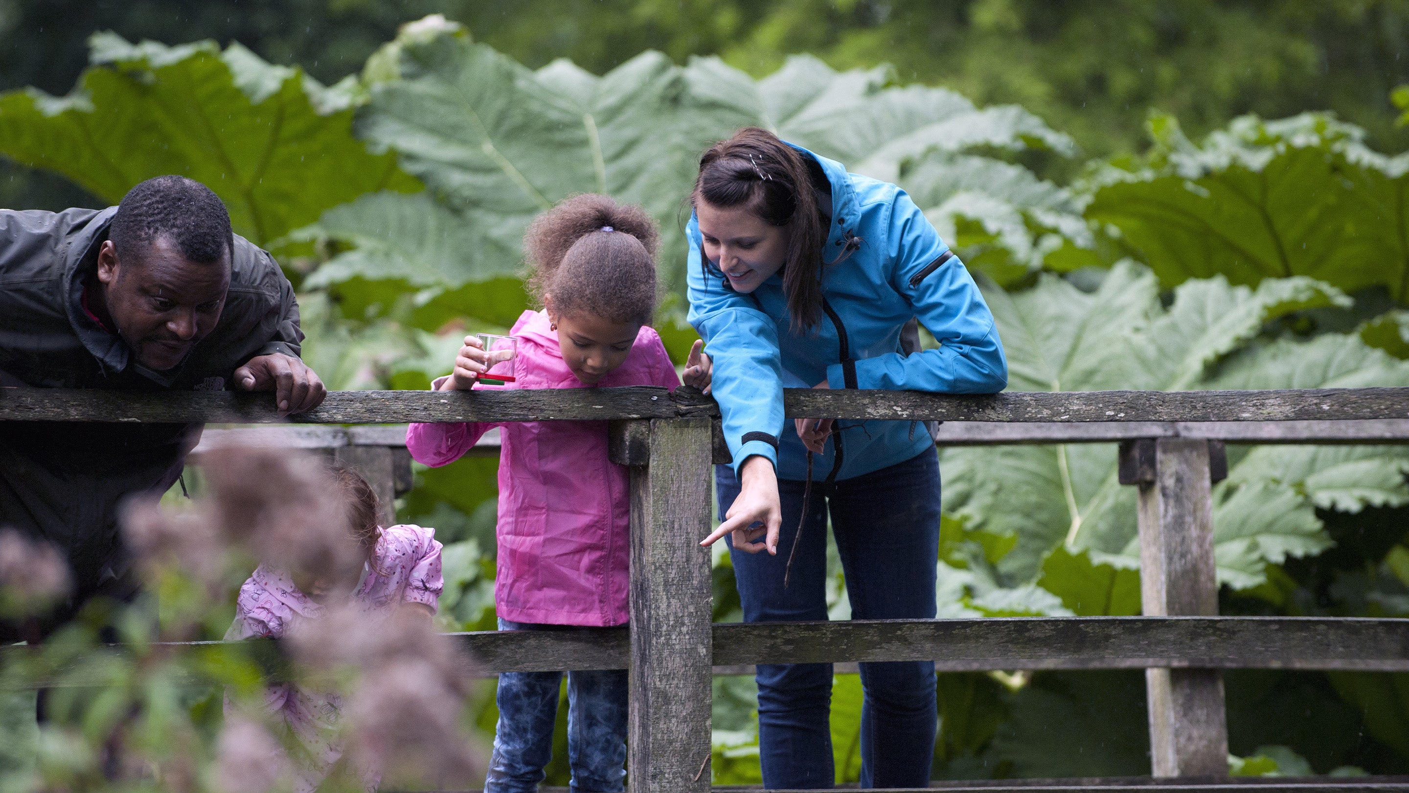Visitors on the bridge, looking over the River Dudwell in the garden at Bateman's, East Sussex