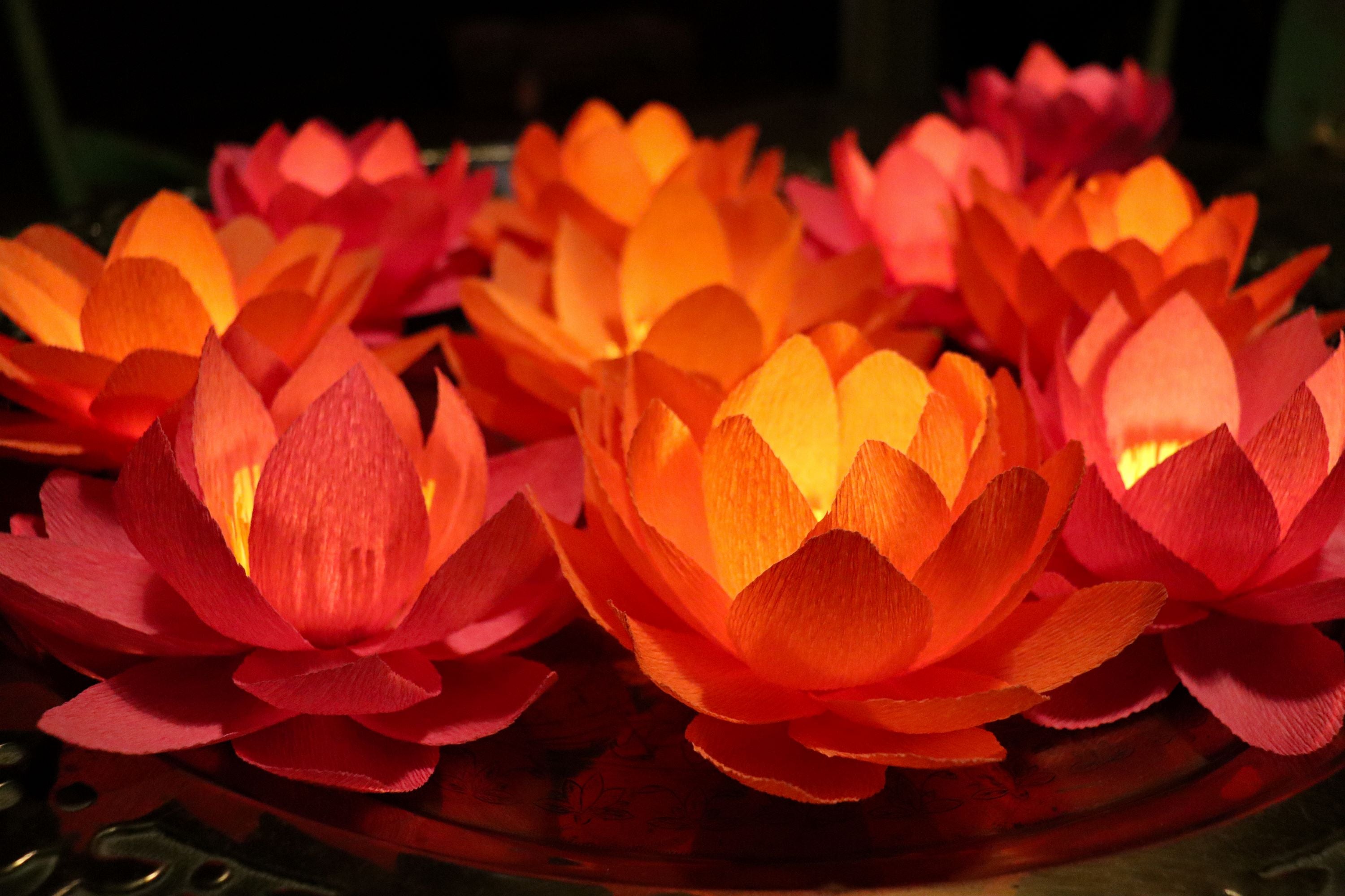 Pink and orange handmade paper lotus flowers
