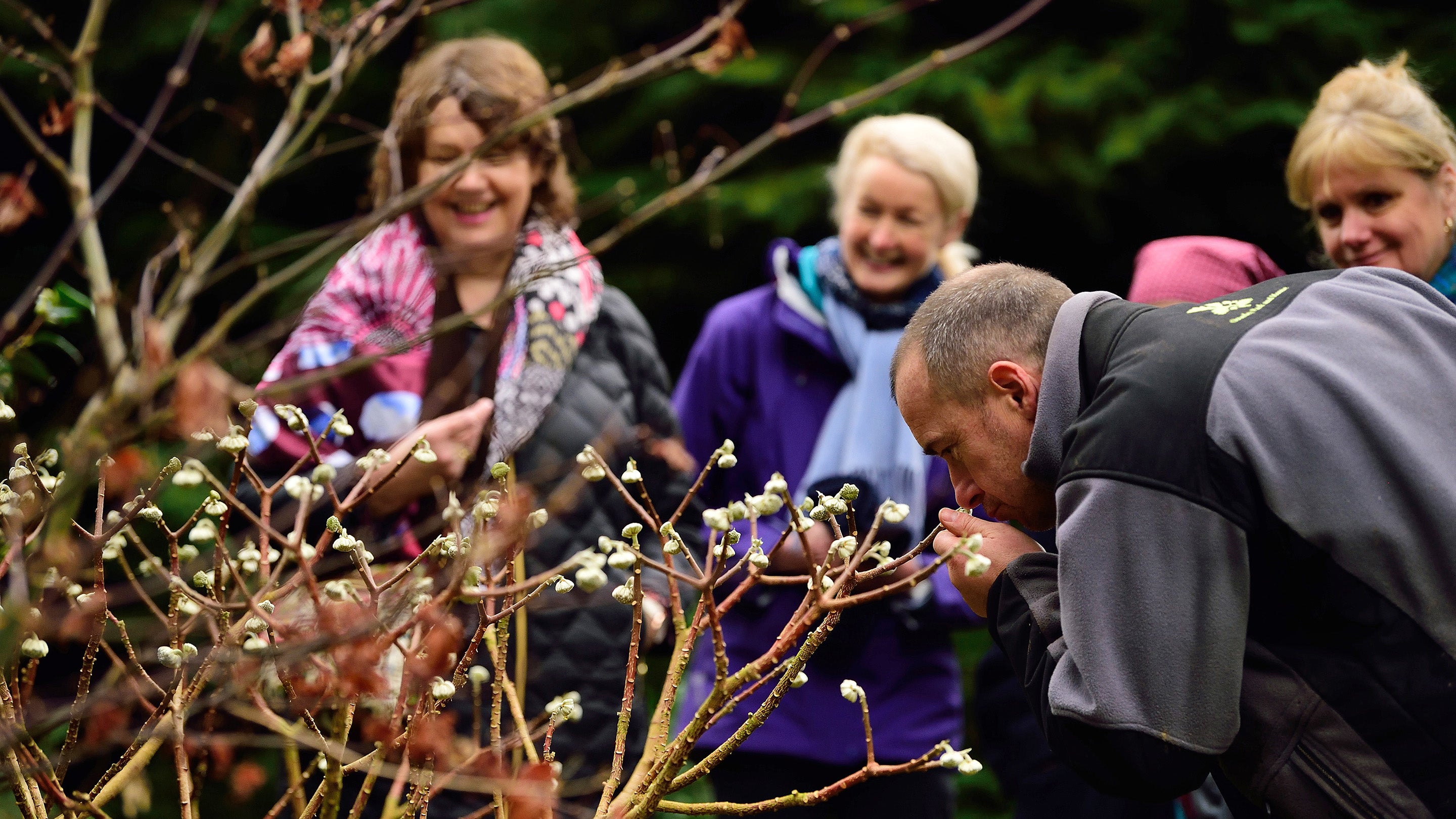 Visitors on a winter garden tour