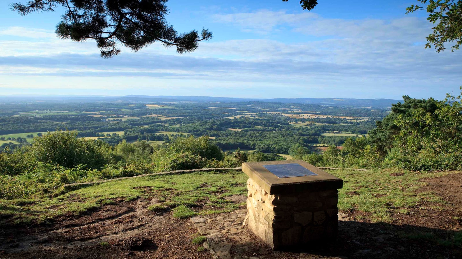 Black Down, from National Trust
